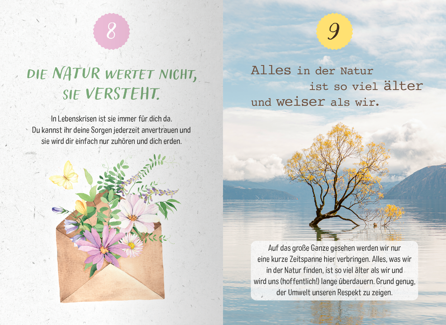 Gezeigt wird eine Innen- oder Zusatzansicht von „99 Dinge, die du von der Natur lernen kannst“. Auf der linken Seite befindet sich ein liebevoll gestalteter Text mit der Aufschrift „DIE NATUR WERTET NICHT, SIE VERSTEHT“, umgeben von einer bunten Illustration aus Blumen und Blättern, die aus einem Umschlag hervorragen. Die rechte Seite trägt die Überschrift „Alles in der Natur ist so viel älter und weiser als wir“, ergänzt durch ein beruhigendes Bild eines Baums im Wasser, unter...