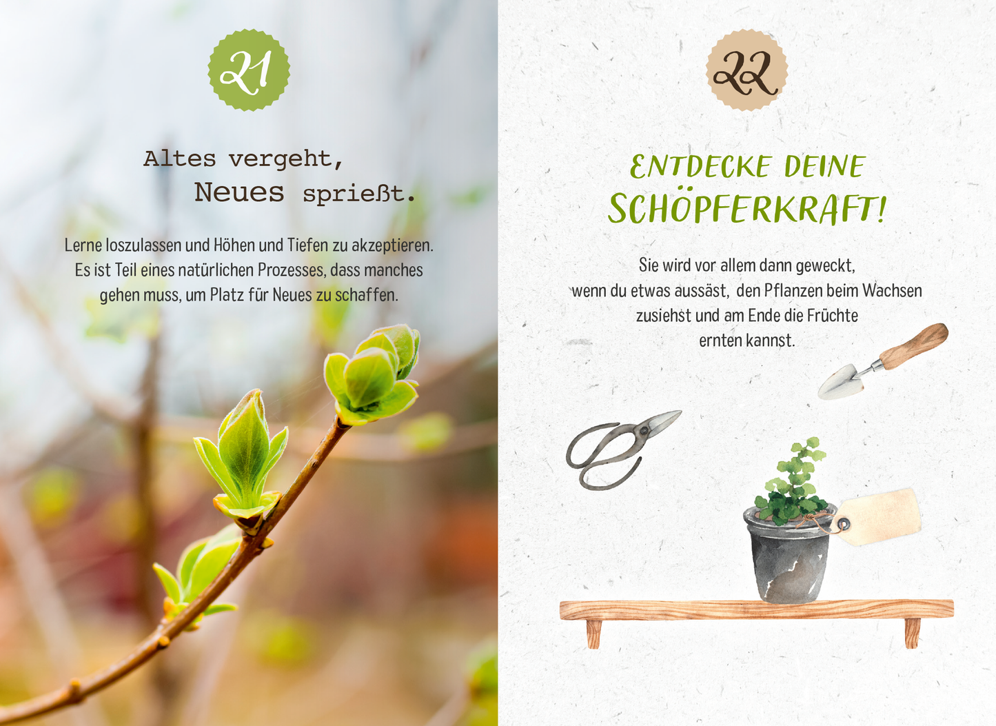 Gezeigt wird eine Innen- oder Zusatzansicht von „99 Dinge, die du von der Natur lernen kannst“. Auf der linken Seite steht der Text „Altes vergeht, Neues sprießt“ in schwarzer Schrift, ergänzt durch eine grüne Überschrift. Darunter ist ein zartes, frisches Pflanzentriebbild. Auf der rechten Seite befindet sich der Titel „ENTDECKE DEINE SCHÖPFERKRAFT!“ in lebhaftem Grün mit einer einladenden Schrift. Der Text umschreibt das Thema des Wachstums, umgeben von Illustrationen eines...