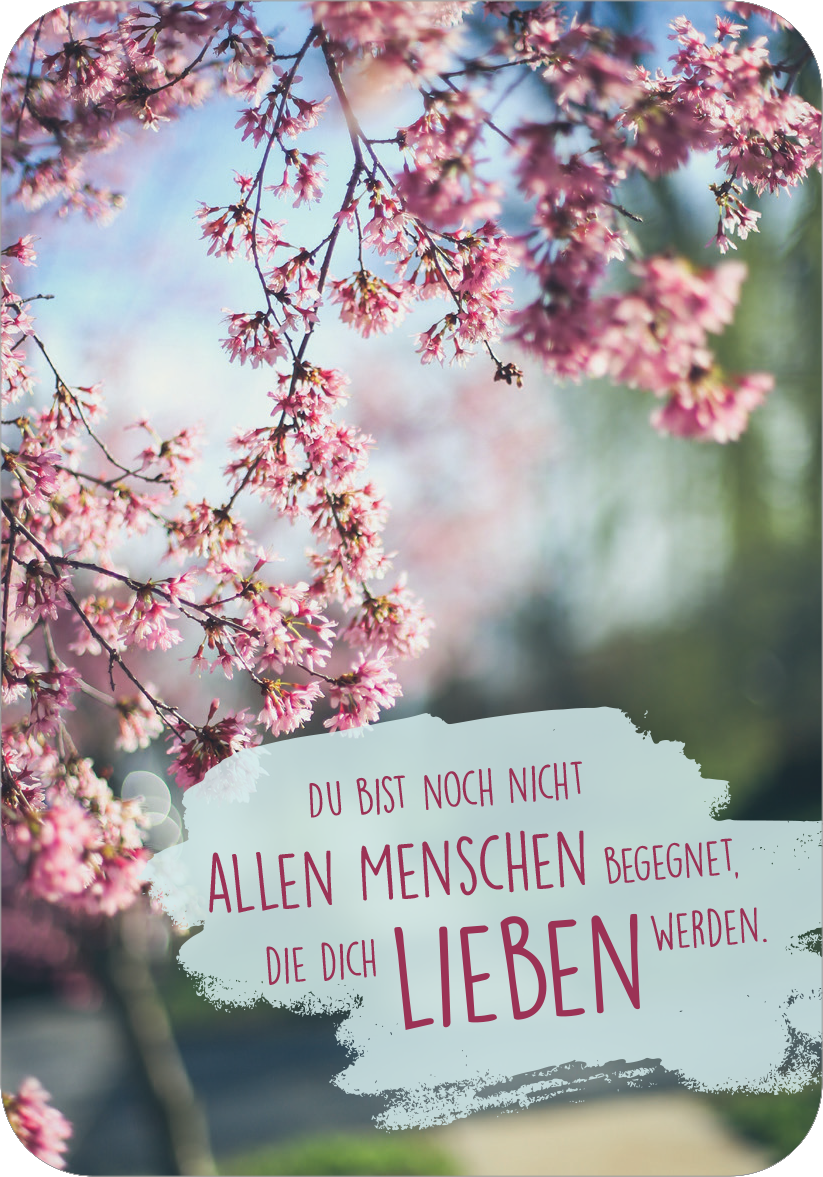 Gezeigt wird eine Innen- oder Zusatzansicht von „Sonne im Herzen“. Die Ansicht zeigt einen rosafarbenen Kirschblütenzweig, der sanft im Vordergrund erscheint, während ein unscharfer, grüner Hintergrund die Frühlingsstimmung verstärkt. Unter dem Zweig steht in verspielter, roter Schrift der Text: „Du bist noch nicht allen Menschen begegnet, die dich lieben werden!“ Der Hintergrund des Textes ist in sanftem Grau gehalten und fängt die positive Botschaft des Designs ein.