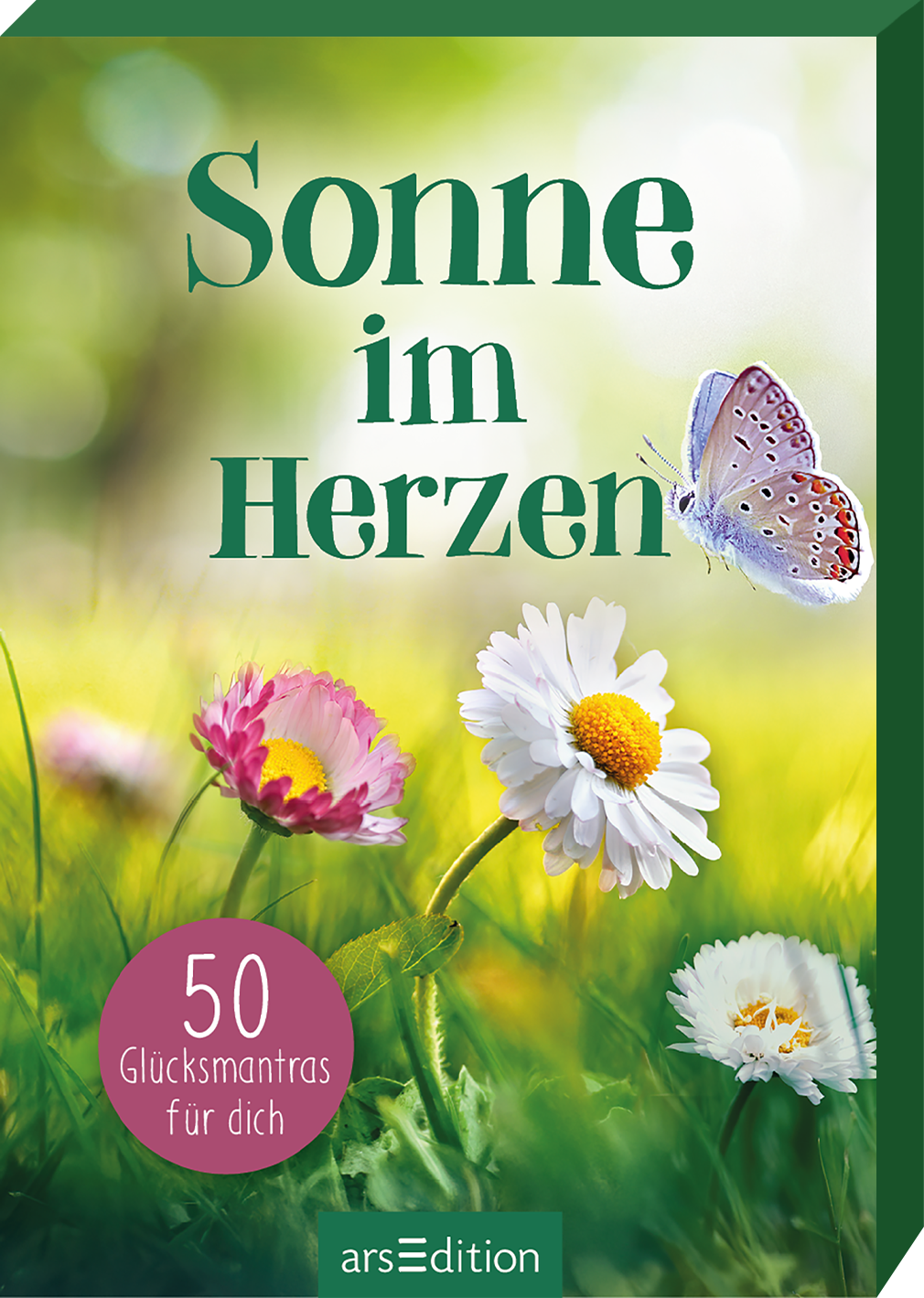 Das Buchcover zeigt eine blühende Wiese mit bunten Blumen in verschiedenen Farben, darunter rosa, gelb und weiß. Ein zarter Schmetterling schwebt über den Blüten, was eine fröhliche und leichte Atmosphäre vermittelt. Der Titel „Sonne im Herzen“ ist in großen, grünen Buchstaben platziert, was den sommerlichen Eindruck unterstreicht. Unten links befindet sich ein runder Button in Rosa mit der Aufschrift „50 Glücksmantras für dich“. Ganz unten mittig steht der Logoschriftzug von...