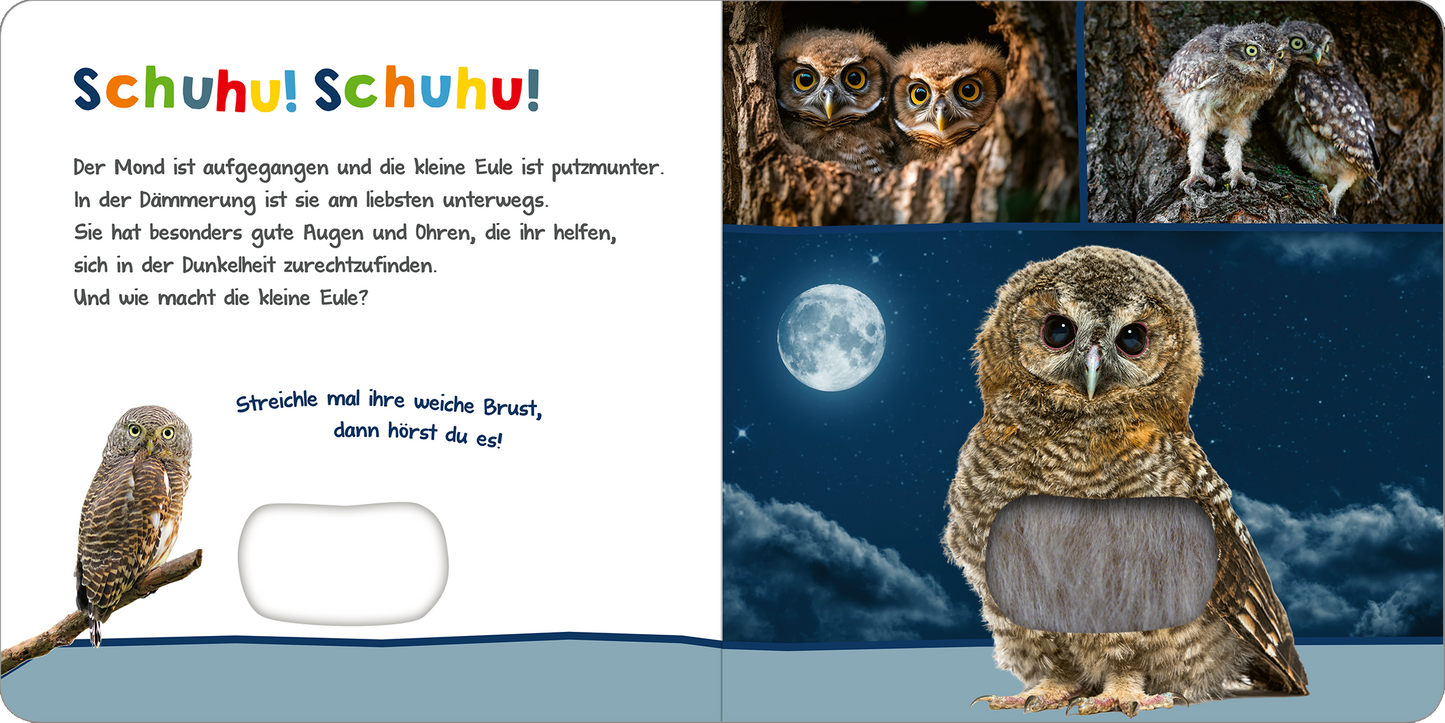 Gezeigt wird eine Innen- oder Zusatzansicht von „Hör mal rein, wer kann das sein? – Tiere in der Nacht“. Die Illustration zeigt eine kleine Eule auf einem Ast sowie zwei Eulen in einer Baumhöhle. Die Farben sind überwiegend in sanften Nachtblau- und Grautönen gehalten, ergänzt durch die leuchtend weiße Mondscheibe. Die Typografie ist spielerisch und farbenfroh, mit großen, runden Buchstaben in der Überschrift „Schuhu! Schuhu!“, die Kinder ansprechen und zum Interagieren...