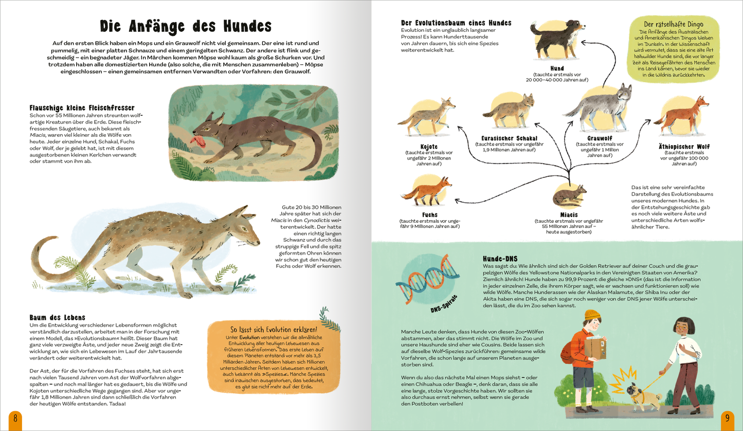 Gezeigt wird eine Innen- oder Zusatzansicht von „Die Welt der Hunde“. Die Seite präsentiert eine farbenfrohe Illustration eines frühen Hundevorfahren auf der linken Seite, umgeben von informativem Text in klarer, gut lesbarer Schrift. Auf der rechten Seite sind verschiedene Hundearten grafisch dargestellt, verbunden durch Linien, die deren evolutionäre Beziehung zeigen. Die Farbpalette umfasst sanfte Grüntöne sowie lebendige Akzente, während die Typografie gut strukturiert ist und...