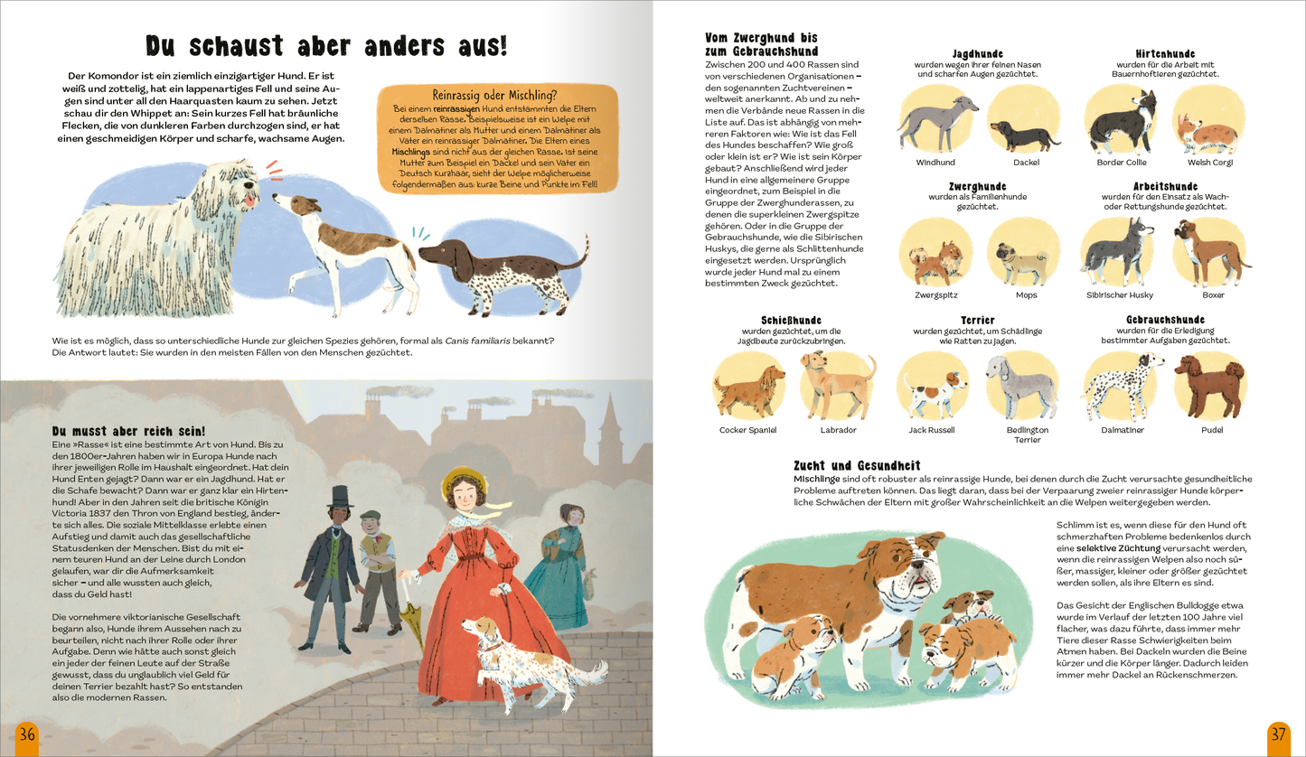 Gezeigt wird eine Innen- oder Zusatzansicht von „Die Welt der Hunde“. Die Seite enthält eine bunte und lebhafte Illustration von verschiedenen Hunderassen, umgeben von informativem Text. Auf der linken Seite ist eine historische Szene mit einem Hund und einer Frau in einem roten Kleid dargestellt, während auf der rechten Seite eine Übersicht über Hunderassen in einfachen, klaren Illustrationen präsentiert wird. Die Farben wirken freundlich und einladend, während die Typografie gut...