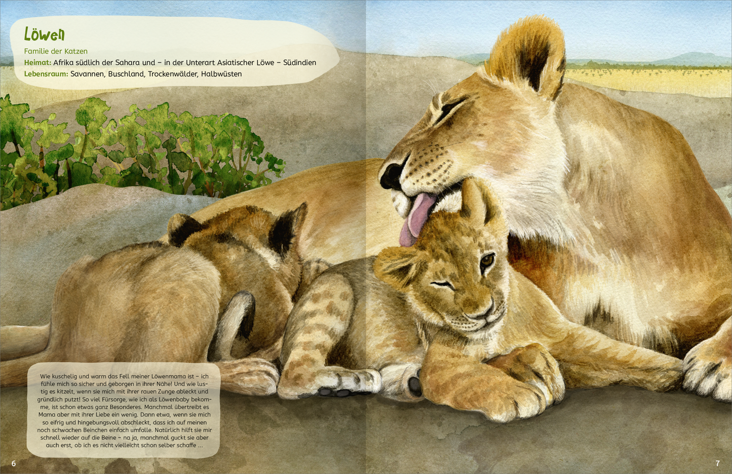 Gezeigt wird eine Innen- oder Zusatzansicht von „Kuscheln“. Die Illustration präsentiert eine Löwenfamilie, bestehend aus einer Löwin und ihren zwei Jungtieren, die entspannt auf dem Boden liegen. Die Farben sind warm und weich, mit verschiedenen Brauntönen und sanften Grüntönen im Hintergrund. Die Typografie im oberen Bereich ist in einer klaren, gut lesbaren Schriftart gestaltet. Ein schildförmiger Textkasten am oberen Rand bietet Informationen über Löwen und ihren Lebensraum.