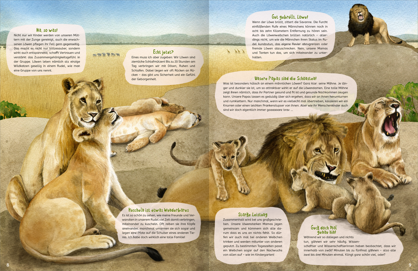 Gezeigt wird eine Innen- oder Zusatzansicht von „Kuscheln“. Die Seite zeigt eine harmonische Szene mit mehreren Löwen und Löwinnen in sanften Beige- und Brauntönen, die auf einem sandigen Untergrund liegen. Im Hintergrund erstreckt sich eine weite Savannenlandschaft unter einem hellblauen Himmel. An den Seiten sind informative Textfelder mit hellem Hintergrund platziert, in freundlicher Schriftart geschrieben, die interessante Fakten über Löwen bieten.