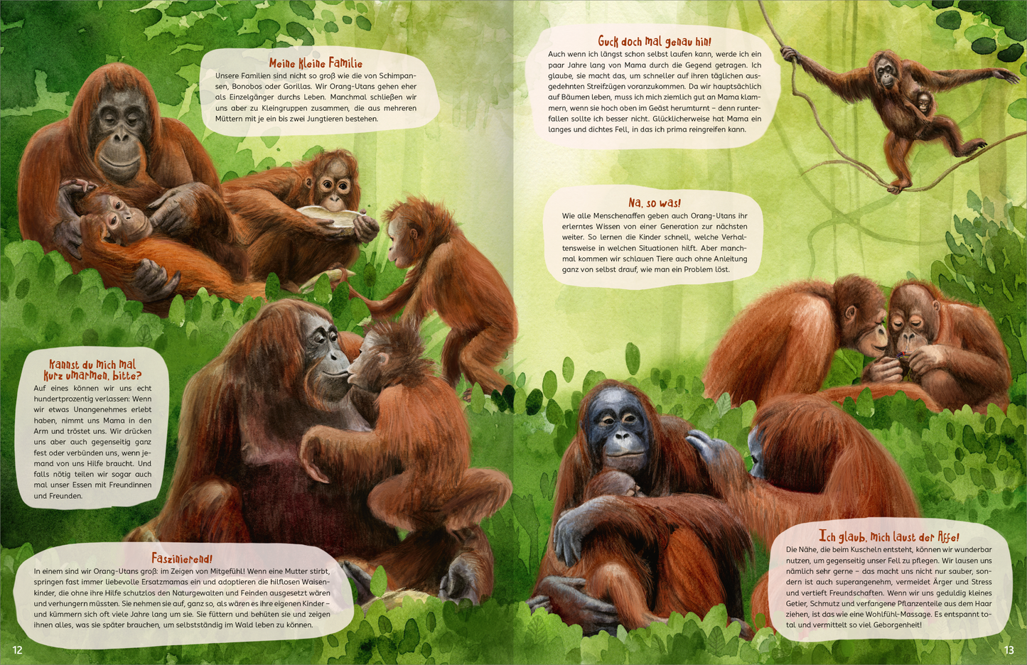 Gezeigt wird eine Innenansicht von „Kuscheln“. Auf der Doppelseite sind mehrere Orang-Utans in einer grünen, üppigen Umgebung dargestellt. Die Tiere sind in verschiedenen Posen zu sehen, einige kuscheln miteinander, während andere spielen oder entspannt sitzen. Die Farbpalette umfasst warme Brauntöne der Orang-Utans sowie lebhafte Grüntöne der Pflanzen. In verschiedenen Sprechblasen sind Texte in einer klaren, gut lesbaren Schriftart abgedruckt, die die Szenen kommentieren.