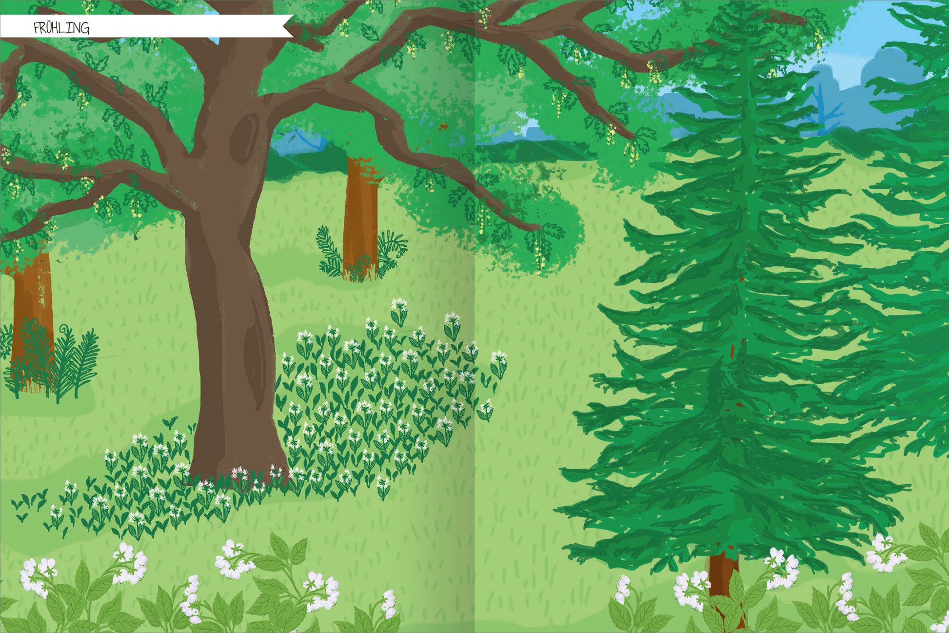 Gezeigt wird eine Innen- oder Zusatzansicht von „Naturforscher-Kids – Stickerheft Im Wald“. Die Illustration zeigt eine grüne Waldlandschaft im Frühling mit einem großen, braunen Laubbaum und einem kräftigen, grünen Nadelbaum. Blühende Pflanzen und Sträucher in verschiedenen Grüntönen sind im Vordergrund zu sehen, ergänzt durch kleine weiße Blumen. Die Schrift „FRÜHLING“ ist oben links in einer verspielten, gut lesbaren Schriftart platziert, die die kindliche Thematik...