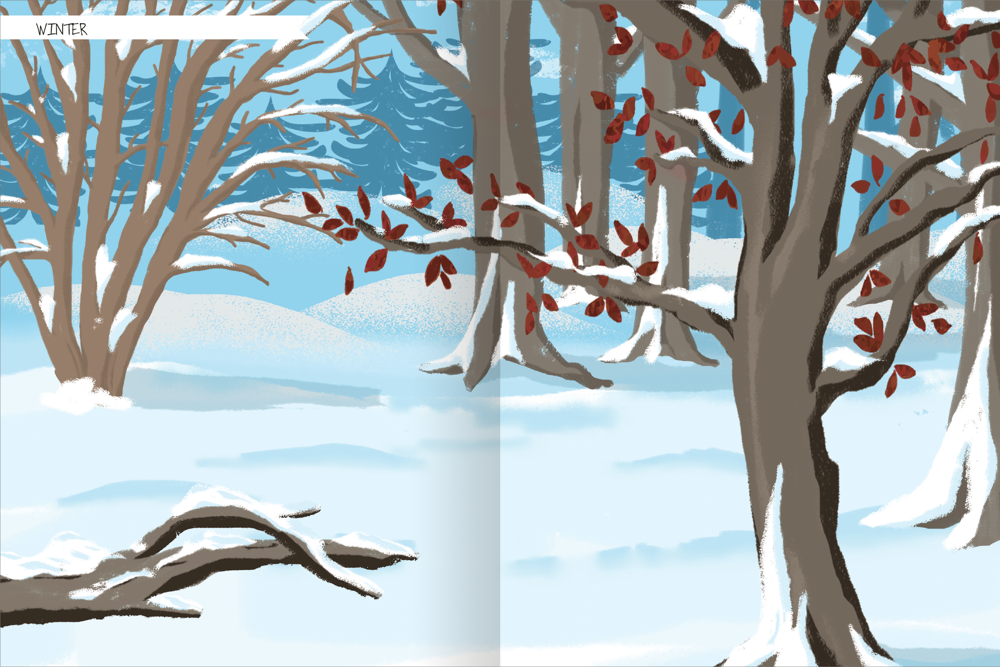 Gezeigt wird eine Innen- oder Zusatzansicht von „Naturforscher-Kids – Stickerheft Im Wald“. Die Illustration zeigt eine winterliche Landschaft mit sanften, schneebedeckten Hügeln und zahlreichen Bäumen, deren Äste von Schnee bedeckt sind. Die Farbpalette umfasst kühle Blautöne, Weiß und vereinzelte rostrote Blätter. Oben links ist das Wort „WINTER“ in klarer, einfacher Schrift platziert, was die saisonale Thematik unterstreicht.