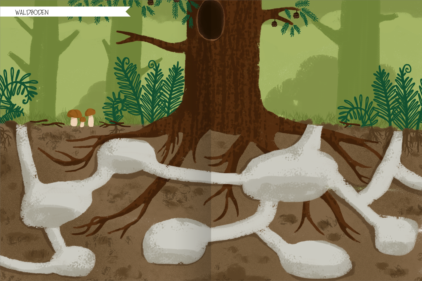 Gezeigt wird eine Innen- oder Zusatzansicht von „Naturforscher-Kids – Stickerheft Im Wald“. Die Illustration zeigt einen großen Baum mit einer braunen, texturierten Baumrinde und einem hohlen Stamm. Im Vordergrund verlaufen weiße Wurzeln über einen dunklen Boden, umgeben von grünen Pflanzen und zwei kleinen, fahlen Pilzen. Die Farbpalette umfasst sanfte Grüntöne und Erdfarben, während die Schrift für den Titel „Waldboden“ farblich hervorgehoben und klar lesbar ist.