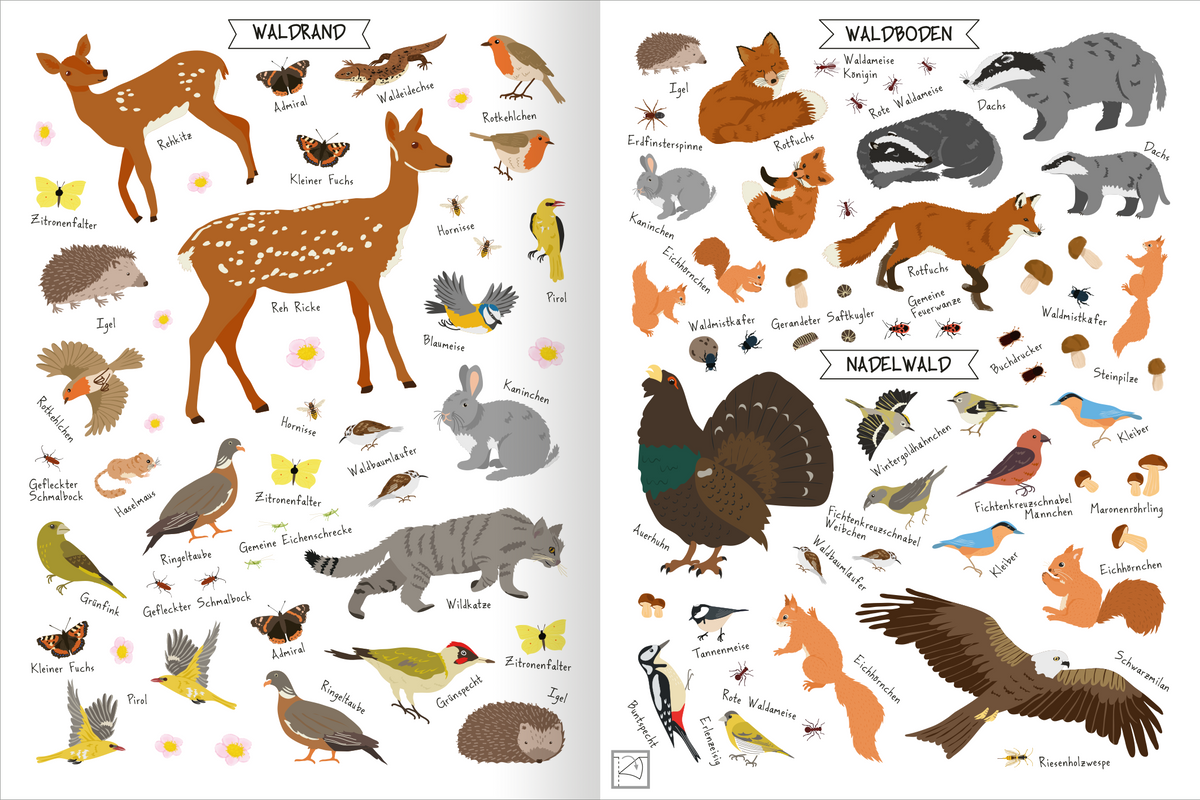 Gezeigt wird eine Innen- oder Zusatzansicht von „Naturforscher-Kids – Stickerheft Im Wald“. Die Seite ist in zwei Hälften unterteilt: Links ist der Waldrand mit bunten Tieren und Insekten, darunter ein Füchslein, ein Reh und verschiedene Vögel, umgeben von einer hellen Farbpalette. Rechts zeigt der Waldboden eine Auswahl verschiedener Waldbewohner wie ein Dachs und einen Igel, in erdigeren Farben. Die Beschriftungen sind in einer klaren, kindgerechten Schriftart gehalten, die die...
