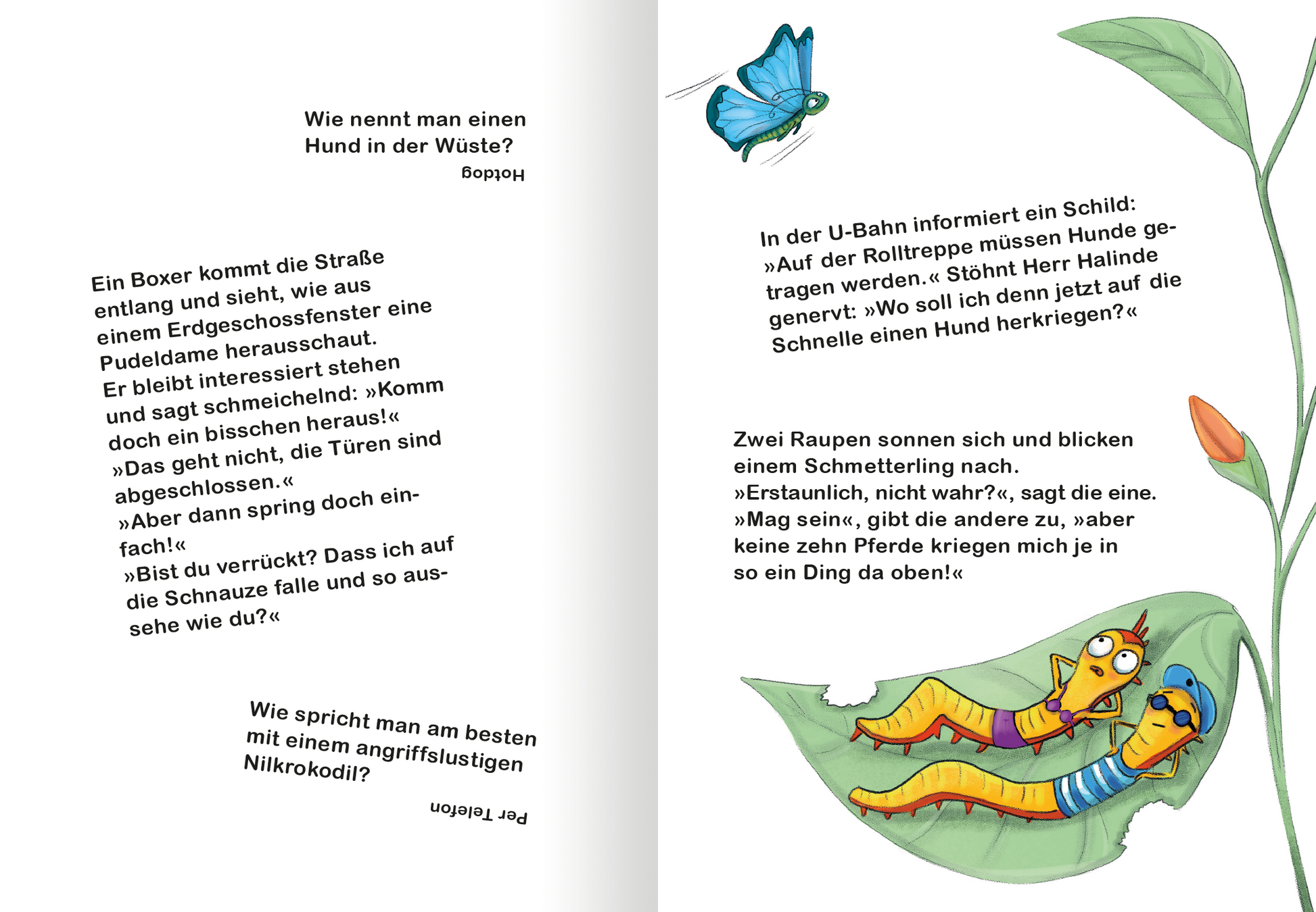 Gezeigt wird eine Innen- oder Zusatzansicht von „Mein tierisches Witzebuch“. Die Seiten sind in einem hellen, freundlichen Design gehalten, mit fröhlichen Farben wie Grün, Blau und Orange. Auf der linken Seite befindet sich ein großer, auffälliger Titel in verspielter Schrift. Vier kleinere Textabschnitte sind auf beiden Seiten locker verteilt. Auf der rechten Seite sind farbige Illustrationen von Raupen abgebildet, die die witzigen Geschichten visuell unterstützen.