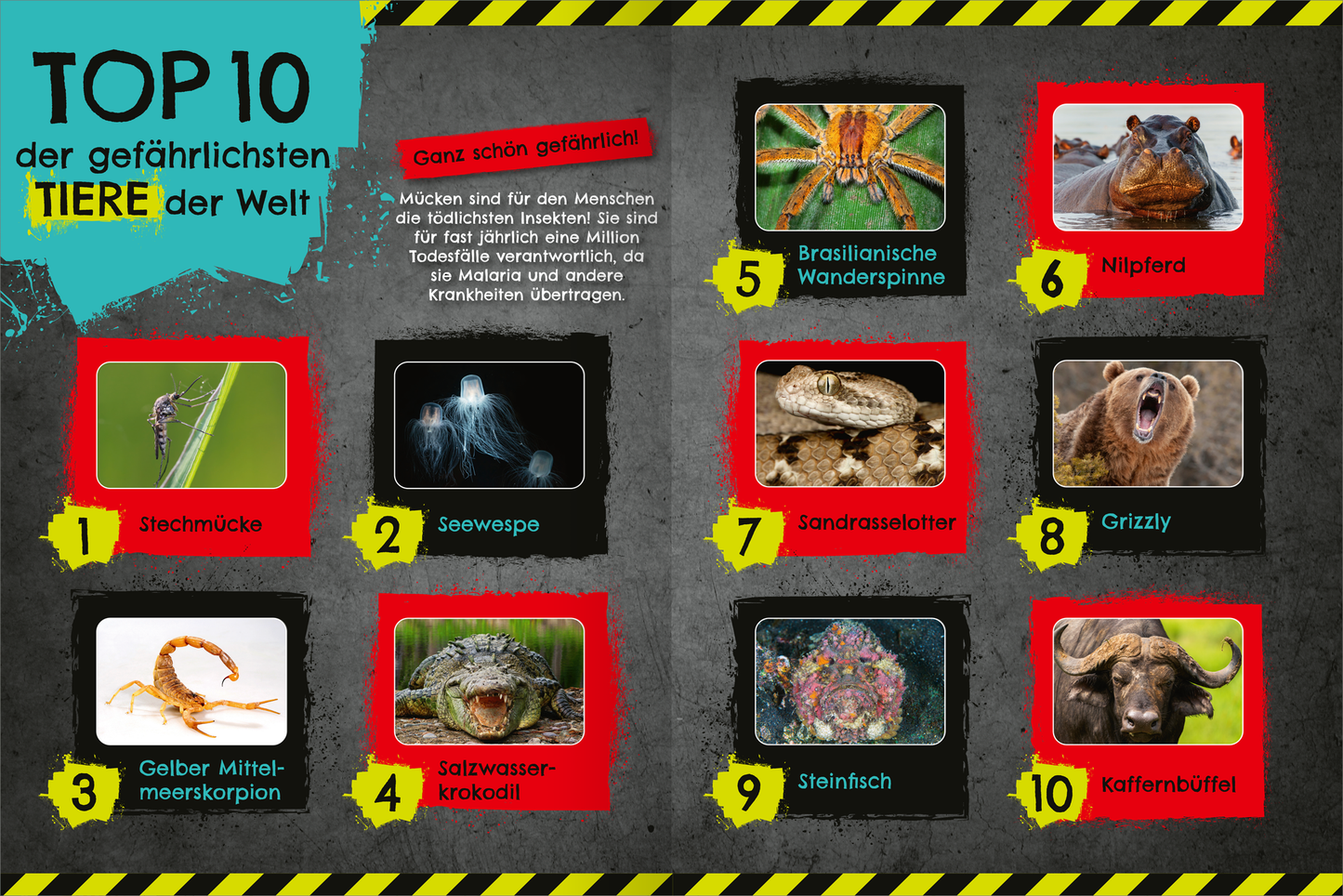 Gezeigt wird eine Innen- oder Zusatzansicht von „Das gefährlichste Stickerheft der Welt“. Die Grafik präsentiert eine Übersicht der „TOP 10 der gefährlichsten Tiere der Welt“ auf einem strukturierten Hintergrund in dunklem Grau. Jedes Tier ist in einem roten oder klar umrandeten Kasten abgebildet, ergänzt durch die Nummer und den Namen. Die Typografie ist groß und auffällig, wobei „TOP 10“ in kräftigem Gelb hervorgehoben wird, ergänzt durch Warnhinweise mit schwarz-gelber...