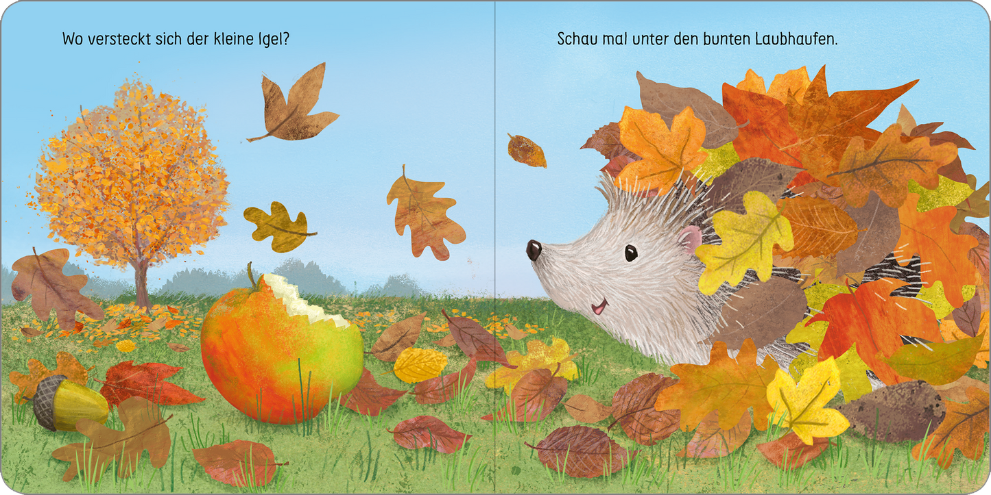 Gezeigt wird eine Innen- oder Zusatzansicht von „Kuckuck, kleines Eichhörnchen!“. Die Szene zeigt einen herbstlichen Garten mit einem bunten Baum, gelben und orangefarbenen Blättern sowie einem Igel, der unter einem Laubhaufen versteckt ist. Im Vordergrund liegt ein halbgegessenes, rotes Apfelstück. Die Farben sind warm und lebhaft, während die Typografie auf der linken Seite in spielerischer Schriftart und großer Lesbarkeit gehalten ist, um die jüngsten Leser anzusprechen.