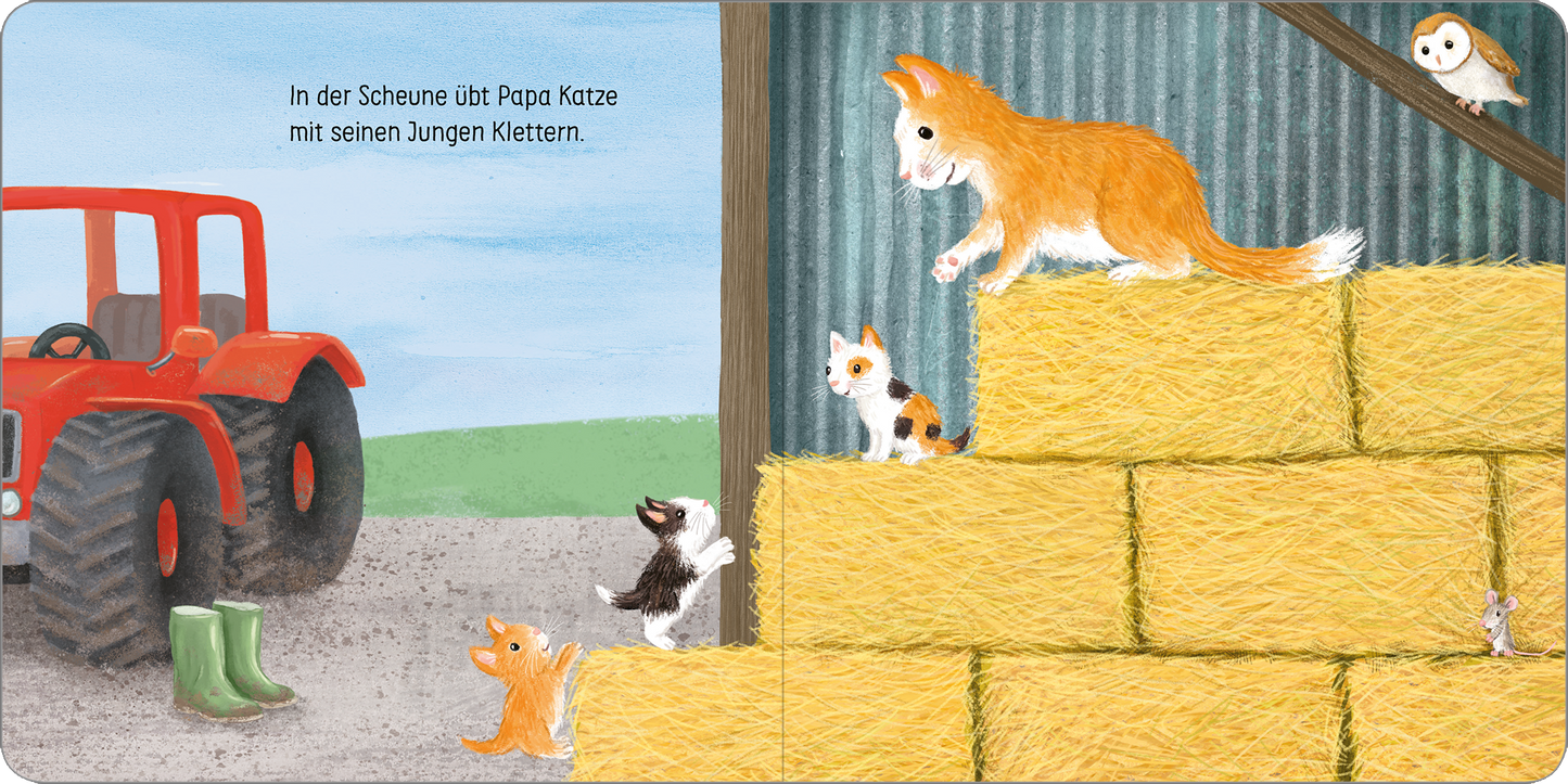 Gezeigt wird eine Innen- oder Zusatzansicht von „Hab dich lieb, kleines Küken!“. Die Illustration zeigt eine Scheunenlandschaft mit einem roten Traktor und einem Strohballenstapel. Auf den Strohballen klettern vier Katzen, darunter eine orangefarbene Mama-Katze und ihre jungen Kätzchen in verschiedenen Farben. Im Hintergrund sind gezielte Farben wie Grau und Grün zu sehen, während die Typografie links oben in einem kindgerechten, gut lesbaren Schriftstil gehalten ist.
