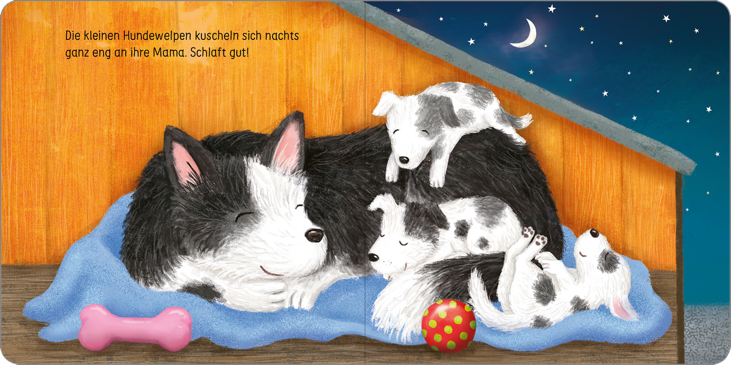 Gezeigt wird eine Innen- oder Zusatzansicht von „Hab dich lieb, kleines Küken!“. Die Illustration zeigt eine schlafende, schwarz-weiße Hündin, umgeben von vier kleinen, niedlichen Welpen. Die Tiere liegen kuschelig auf einer blauen Decke. Im Hintergrund ist eine orangefarbene Wand zu sehen, über die sich ein nächtlicher, dunkler Himmel mit einem Halbmond und glitzernden Sternen erstreckt. Ein rosafarbenes Spielzeug und ein bunten Ball ergänzen die Szene. Die Schrift ist freundlich und...