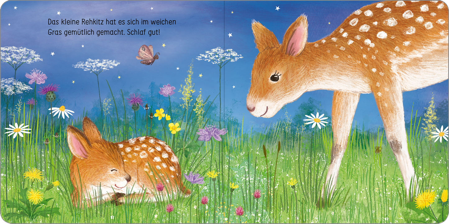 Gezeigt wird eine Innen- oder Zusatzansicht von „Schlaf gut, kleine Eule!“. Die Illustration zeigt ein kleines Rehkitz, das friedlich im weichen, grünen Gras liegt, während ein größeres Rehkitz sanft daneben steht. Bunte Blumen in Violett, Gelb und Weiß umrahmen die Szene, und ein Schmetterling fliegt darüber. Der Hintergrund ist in sanften Blautönen gehalten, die eine beruhigende Atmosphäre schaffen. Die Schriftart ist kinderfreundlich und klar lesbar.