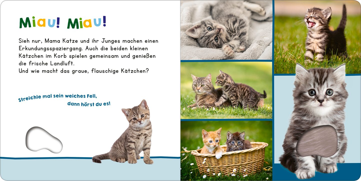 Gezeigt wird eine Innen- oder Zusatzansicht von „Hör mal rein, wer kann das sein? – Meine ersten Tiere“. Die Seite zeigt bunte Illustrationen von verschiedenen Katzen, darunter süße Kätzchen, die miteinander spielen und auf einer grünen Wiese entspannen. Der Text ist in verspielter, farbiger Typografie gehalten. Die Farben sind lebhaft und ansprechend, während eine strukturierte Fläche eine taktile Erfahrung bietet. Ein Ausschnitt lädt zum Streicheln ein, um die Interaktivität zu...