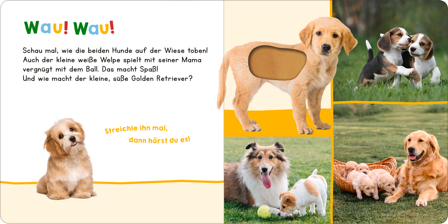 Gezeigt wird eine Innen- oder Zusatzansicht von „Hör mal rein, wer kann das sein? – Meine ersten Tiere“. Die Seite präsentiert eine farbenfrohe Gestaltung mit der Überschrift „Wau! Wau!“ in lebhaften, bunten Buchstaben. Links sind zwei fröhliche Hunde auf einer Wiese abgebildet, während die rechte Seite eine Collage von Hunden zeigt, darunter gelangweilte Welpen und ein spielender Golden Retriever. Die Schrift ist klar und gut lesbar, mit interaktiven Elementen zur Tiererfahrung.