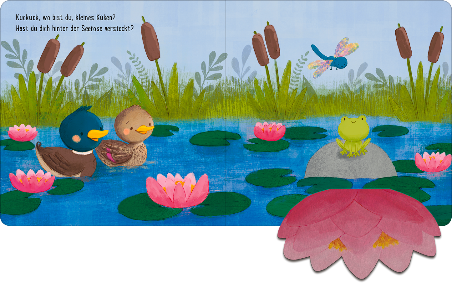 Gezeigt wird eine Innen- oder Zusatzansicht von „Kuckuck, wo bist du?“. Die Illustration zeigt ein friedliches Wasserszenario mit einem blauen Himmel und verschiedenen Grüntönen im Vordergrund. Zwei Entenküken, eines mit blauen und das andere mit braunen Federn, schwimmen auf einem See mit Seerosen in Pink und Weiß. Eine grüne Froschfigur sitzt auf einem Stein, während eine Libelle darüber schwebt. Die Schrift ist spielerisch, farbenfroh und klein gehalten.