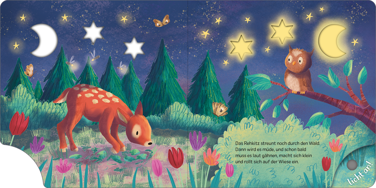 Gezeigt wird eine Innen- oder Zusatzansicht von „Mein Schlummer-Licht-Buch: Gute Nacht, Wald“. Die Illustration zeigt eine nächtliche Waldszene mit einem sanften, dunklen blauen Hintergrund und leuchtenden, gelben Sternen und einem Mond. Im Vordergrund steht ein rotbraunes Rehkitz mit weißen Punkten, umgeben von bunten Blumen in Pink und Lila. Auf der rechten Seite sitzt eine Eule auf einem Baumstock. Der Text ist in einer klaren, verspielten Schriftart in Weiß dargestellt.