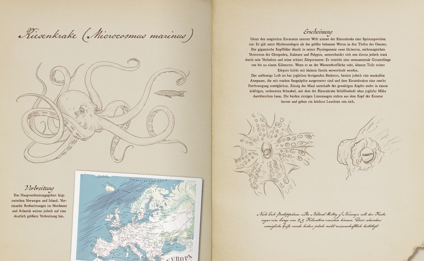 Gezeigt wird eine Innenansicht von „Verborgene Fabelwesen der Meere“. Die Seite zeigt eine detaillierte Illustration eines Riesenkraken auf der linken Seite, umgeben von sanften, geschwungenen Linien in einem sepiafarbenen Ton. Rechts befindet sich der Text „Erklärung“, der in eleganter, geschwungener Typografie verfasst ist. Unterhalb des Textes sind weitere Illustrationen von Meeresbewohnern, die in feinen, filigranen Linien gezeichnet sind. Die gesamte Gestaltung strahlt eine...