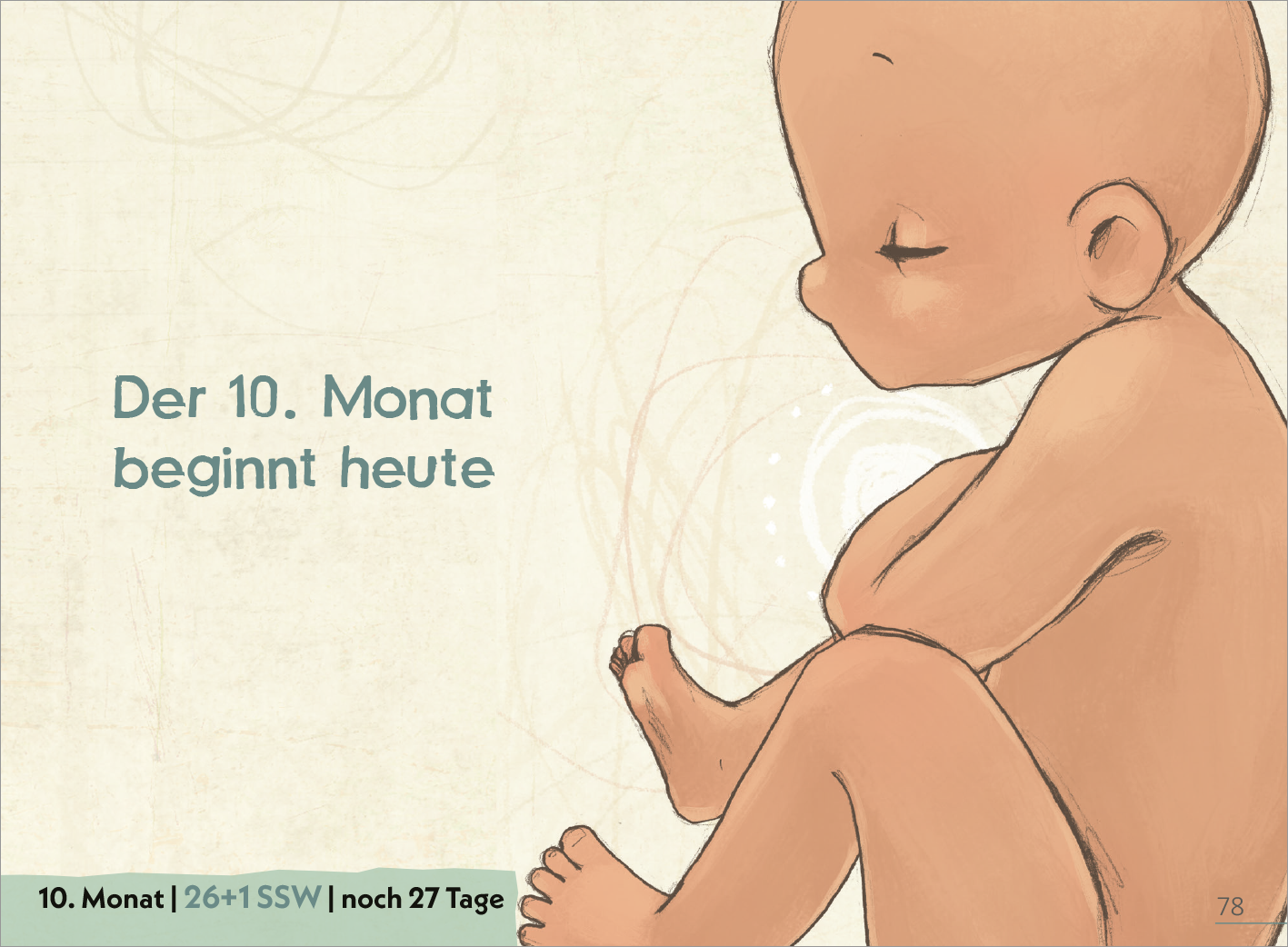 Gezeigt wird eine Innen- oder Zusatzansicht von „Deine Schwangerschaft Tag für Tag“. Die Illustration zeigt ein schlafendes Baby in sanften, warmen Hauttönen. Oberhalb des Babys steht in blauer Schrift „Der 10. Monat beginnt heute“, während die darunter liegende Information in kleinerer Schrift „10. Monat | 26+1 SSW | noch 27 Tage“ in grau dargestellt ist. Der Hintergrund ist hellbeige und unterstreicht die ruhige, harmonische Atmosphäre.