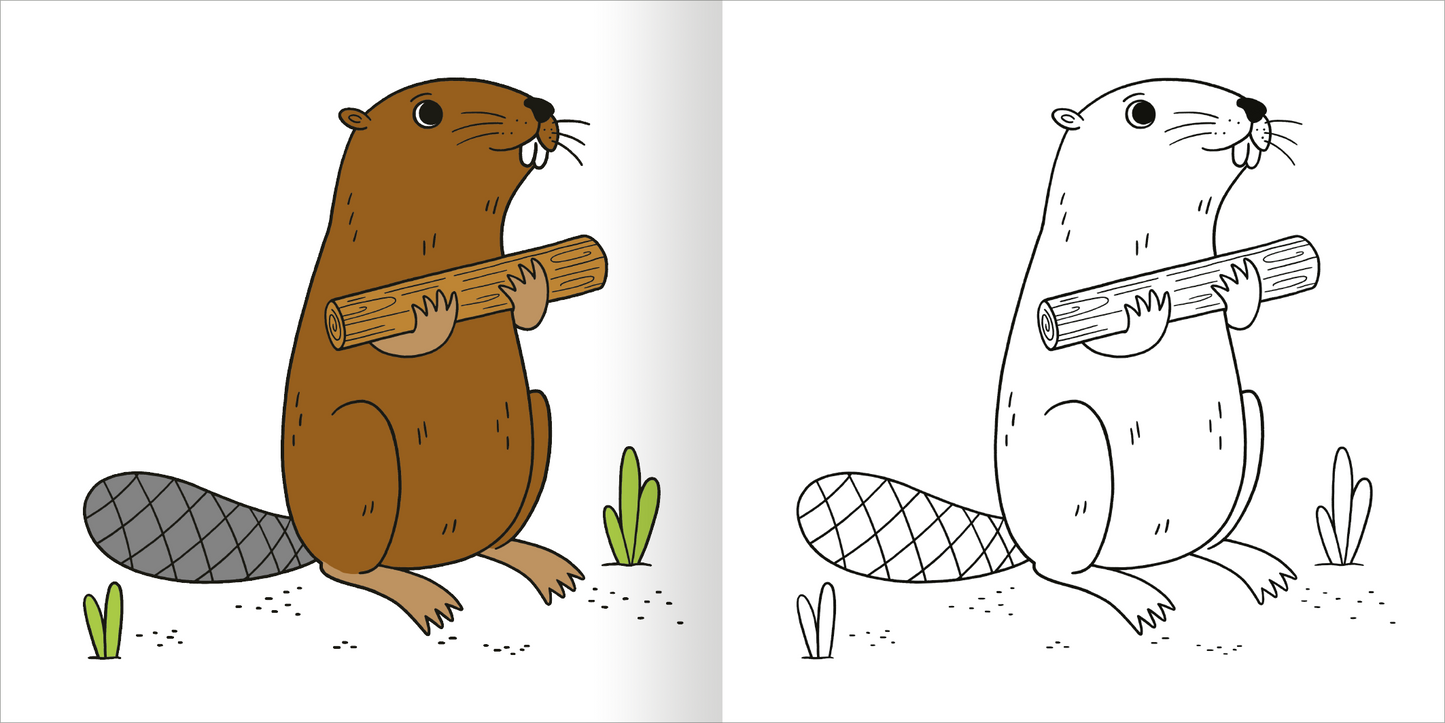 Gezeigt wird eine Innen- oder Zusatzansicht von „Malbuch ab 2 – Mein kunterbuntes Herbst-Malbuch“. Die Grafik zeigt ein niedliches Eichhörnchen, das einen Stock hält. Auf der linken Seite ist das Eichhörnchen in braunen und grauen Farbtönen dargestellt, während die rechte Seite eine umrandete, schwarz-weiße Zeichnung zeigt, die zum Ausmalen einlädt. Die Hintergrundelemente bestehen aus kleinen, grünen Pflanzen in verschiedenen Formen, die dem Bild eine lebendige Atmosphäre...