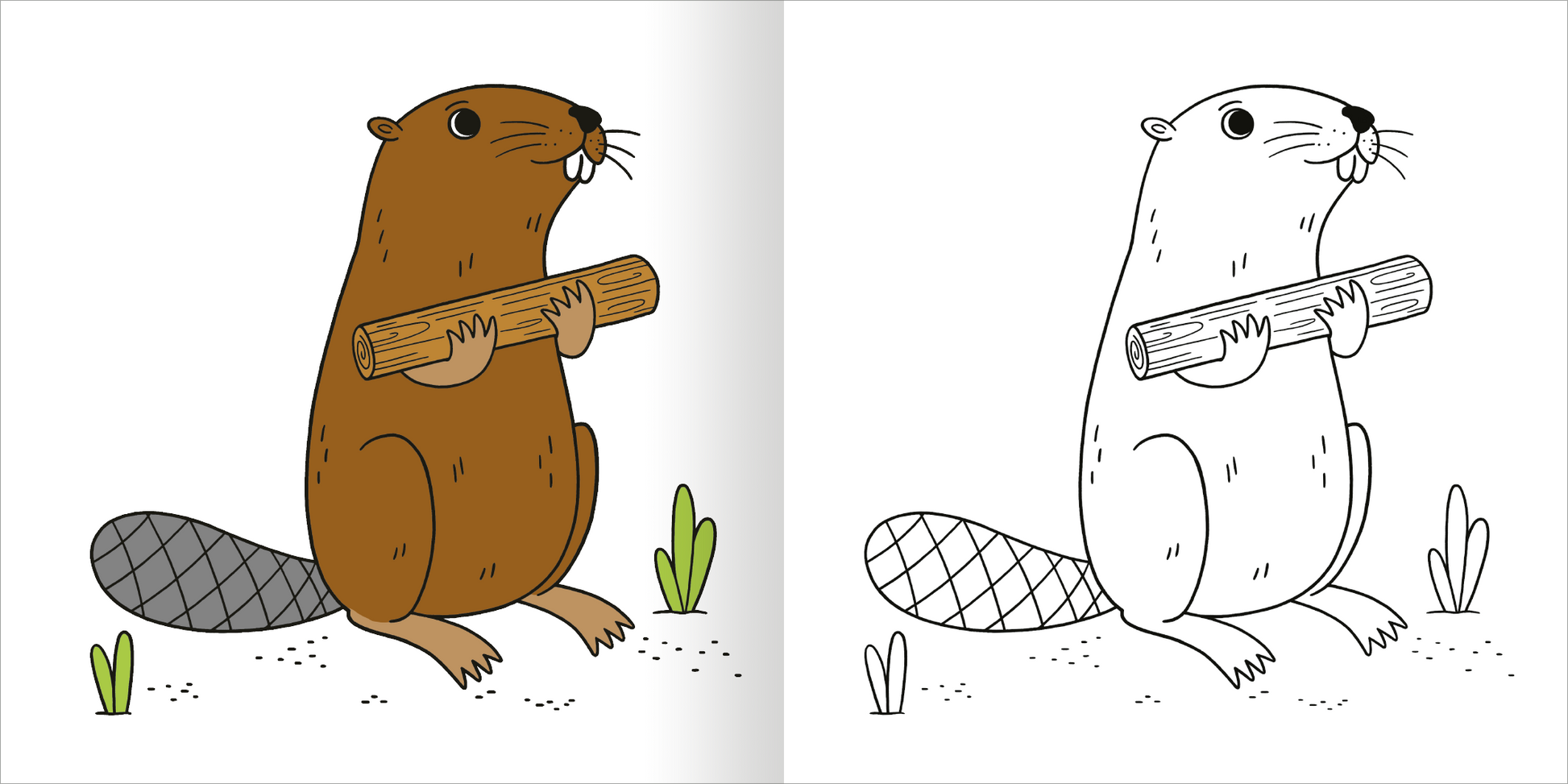 Gezeigt wird eine Innen- oder Zusatzansicht von „Malbuch ab 2 – Mein kunterbuntes Herbst-Malbuch“. Die Grafik zeigt ein niedliches Eichhörnchen, das einen Stock hält. Auf der linken Seite ist das Eichhörnchen in braunen und grauen Farbtönen dargestellt, während die rechte Seite eine umrandete, schwarz-weiße Zeichnung zeigt, die zum Ausmalen einlädt. Die Hintergrundelemente bestehen aus kleinen, grünen Pflanzen in verschiedenen Formen, die dem Bild eine lebendige Atmosphäre...