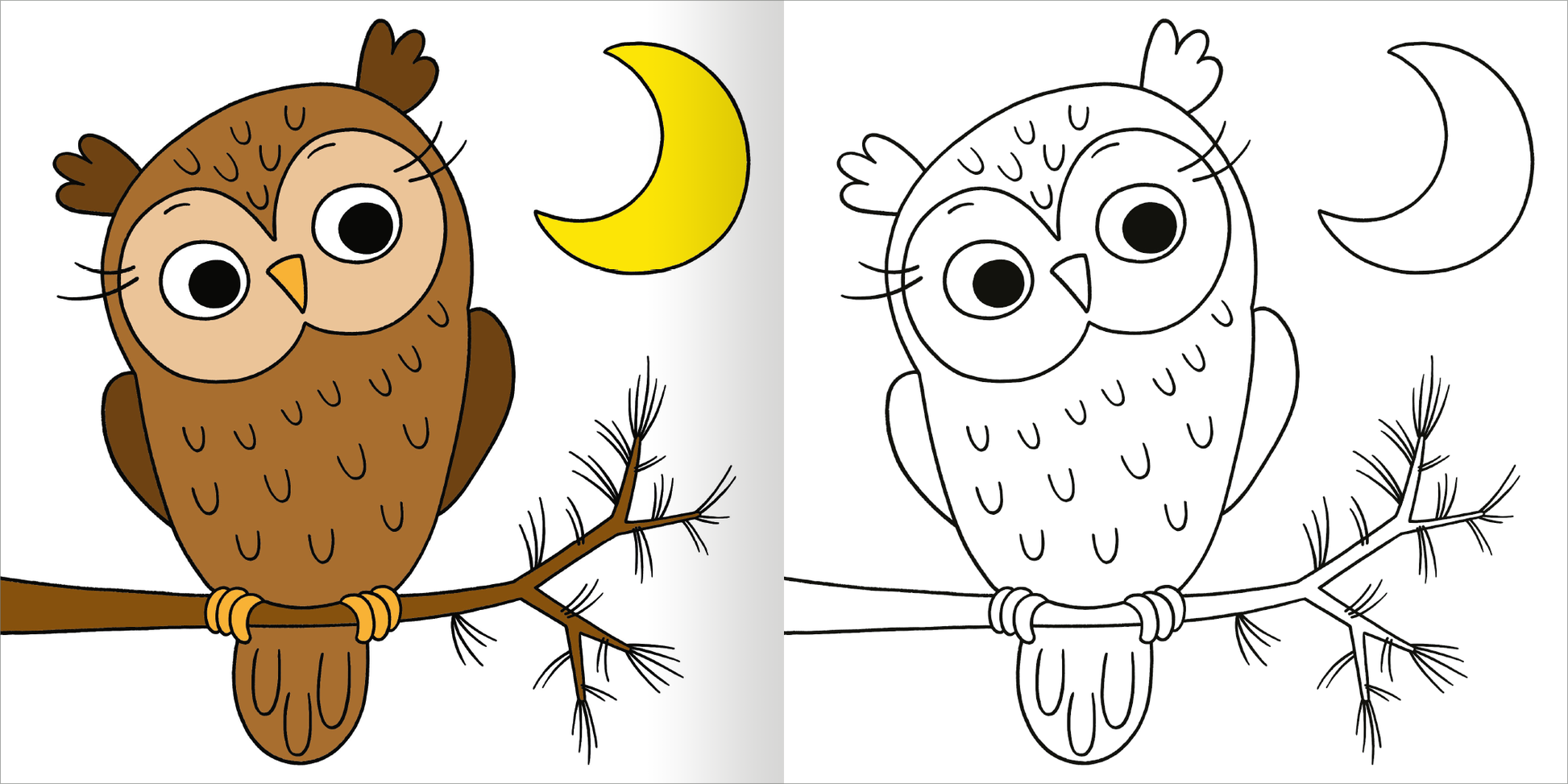 Gezeigt wird eine Innen- oder Zusatzansicht von „Malbuch ab 2 – Mein kunterbuntes Herbst-Malbuch“. Auf der linken Seite befindet sich eine farbenfrohe Darstellung einer Eule, die auf einem ast sitzt, umgeben von einem gelben Mond. Die Eule hat große, runde Augen und braunes Gefieder. Die rechte Seite zeigt dieselbe Szenerie in Schwarz-Weiß, ideal zum Ausmalen. Der klare, dicke Umriss und die kindgerechte Gestaltung fördern die Kreativität.