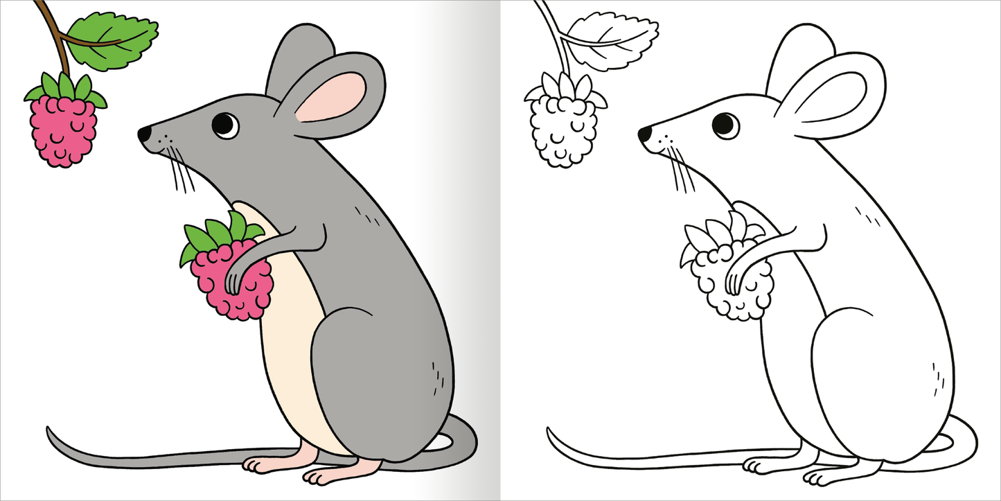 Gezeigt wird eine Innen- oder Zusatzansicht von „Malbuch ab 2 – Mein kunterbuntes Herbst-Malbuch“. Auf der linken Seite befindet sich eine kolorierte Zeichnung einer Maus, die eine Himbeere hält. Die Maus hat graues Fell mit einer hellen Bauchpartie und große, runde Ohren. Die rechte Seite zeigt dieselbe Maus skizzenhaft in Schwarz-Weiß. Der Hintergrund ist schlicht, um die Details der Illustrationen hervorzuheben. Die Schrift ist freundlich und kindgerecht gestaltet.