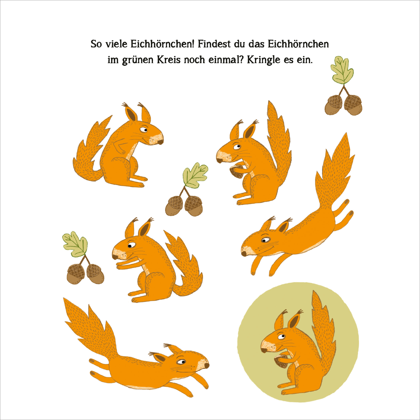 Gezeigt wird eine Innen- oder Zusatzansicht von „Naturrätsel im Herbst“. Die Illustration zeigt mehrere niedliche Eichhörnchen in verschiedenen Positionen, die in kräftigen Orangetönen gehalten sind. Sie interagieren mit Eicheln und Eichenblättern in sanften Grüntönen. Über den Illustrationen steht der Text „So viele Eichhörnchen! Findest du das Eichhörnchen im grünen Kreis noch einmal? Kringle es ein“ in einer kindgerechten, verspielten Schriftart. Der Hintergrund ist...
