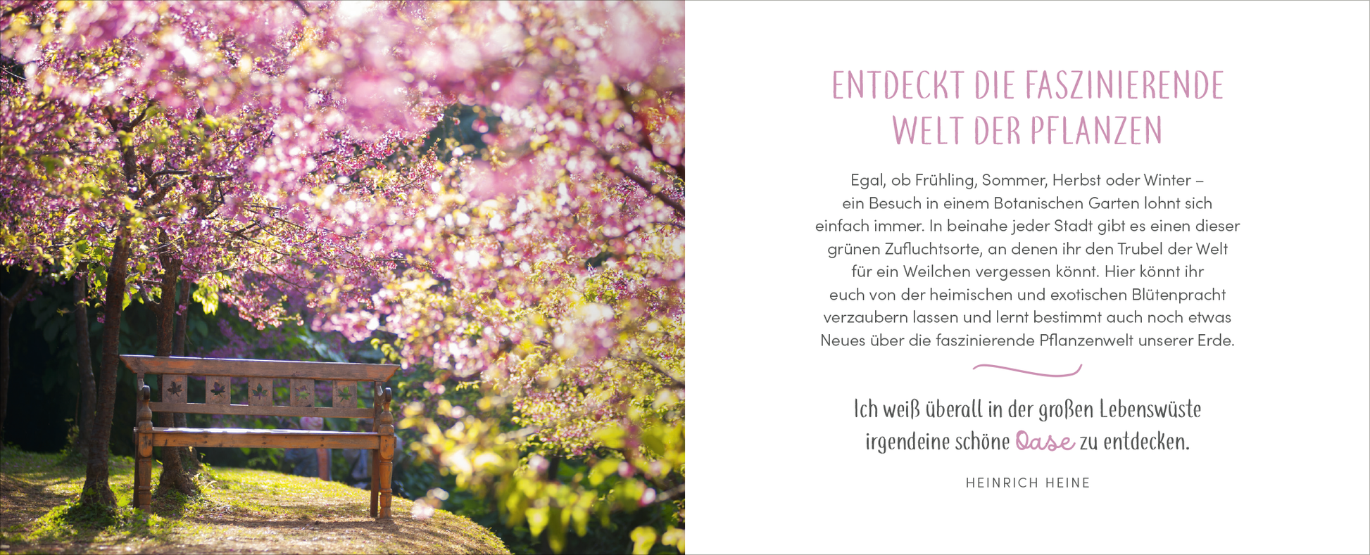 Gezeigt wird eine Innen- oder Zusatzansicht von „Zur goldenen Hochzeit – 50 Jahre Glück und Liebe“. Auf der linken Seite ist eine romantische Bank unter blühenden Kirschbäumen abgebildet, umgeben von zarten, rosa Blüten. Die rechte Seite zeigt den Titel „Entdeckt die faszinierende Welt der Pflanzen“ in einer eleganten, verspielten Schrift. Darunter steht ein Zitat von Heinrich Heine in einer schlichten, gut lesbaren Schriftart. Die Farbpalette besteht hauptsächlich aus sanften...