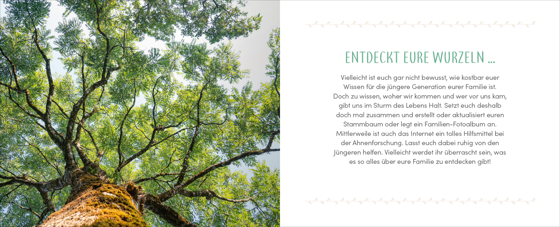 Gezeigt wird eine Innen- oder Zusatzansicht von „Zur goldenen Hochzeit – 50 Jahre Glück und Liebe“. Auf der linken Seite ist ein majestätischer Baum zu sehen, der von unten nach oben fotografiert ist, mit kräftigem Grün und warmen Erdtönen. Die rechte Seite enthält den Text „ENTDECKT EURE WURZELN…“ in einer freundlichen, modernen Schriftart in sanften Türkis- und Grautönen. Der Hintergrund ist hell und schafft einen einladenden Kontrast zur Baumansicht.