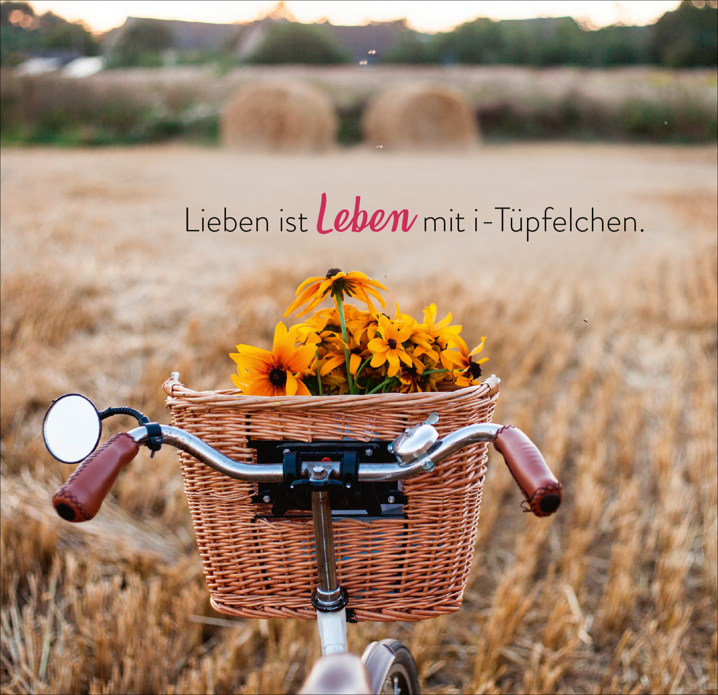 Gezeigt wird eine Innen- oder Zusatzansicht von „365 Tage voller Liebe und Lebensfreude“. Im Vordergrund befindet sich ein Fahrrad mit einem geflochtenen Korb, der mit bunten Sonnenblumen gefüllt ist. Der Hintergrund zeigt eine goldene Getreidefeldlandschaft. Die Schriftzüge „Lieben ist Leben mit i-Tüpfelchen“ sind in einer eleganten, modern gehaltenen Typografie in verschiedenen Farben gestaltet, wobei „Leben“ in einem kräftigen Pink hervorsticht. Die gesamte Szene strahlt...