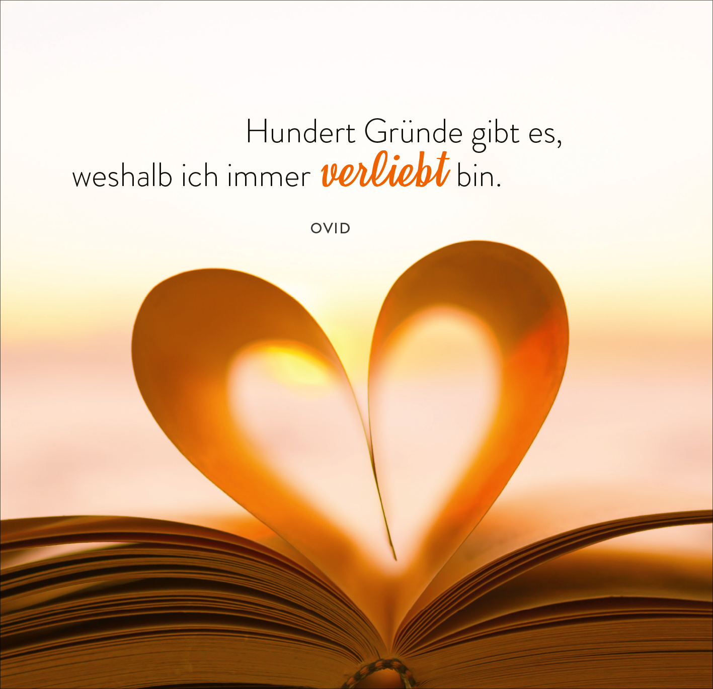 Gezeigt wird eine Innen- oder Zusatzansicht von „365 Tage voller Liebe und Lebensfreude“. Die Darstellung zeigt ein offenes Buch, dessen Seiten zu einem Herz geformt sind. Darüber steht in eleganter, schwarzer Schrift der Satz „Hundert Gründe gibt es, weshalb ich immer verliebt bin.“ in der Mitte. Das Wort „verliebt“ ist in einem warmen Orange hervorgehoben. Im Hintergrund schimmert ein sanftes Licht, das eine positive, einladende Atmosphäre schafft.