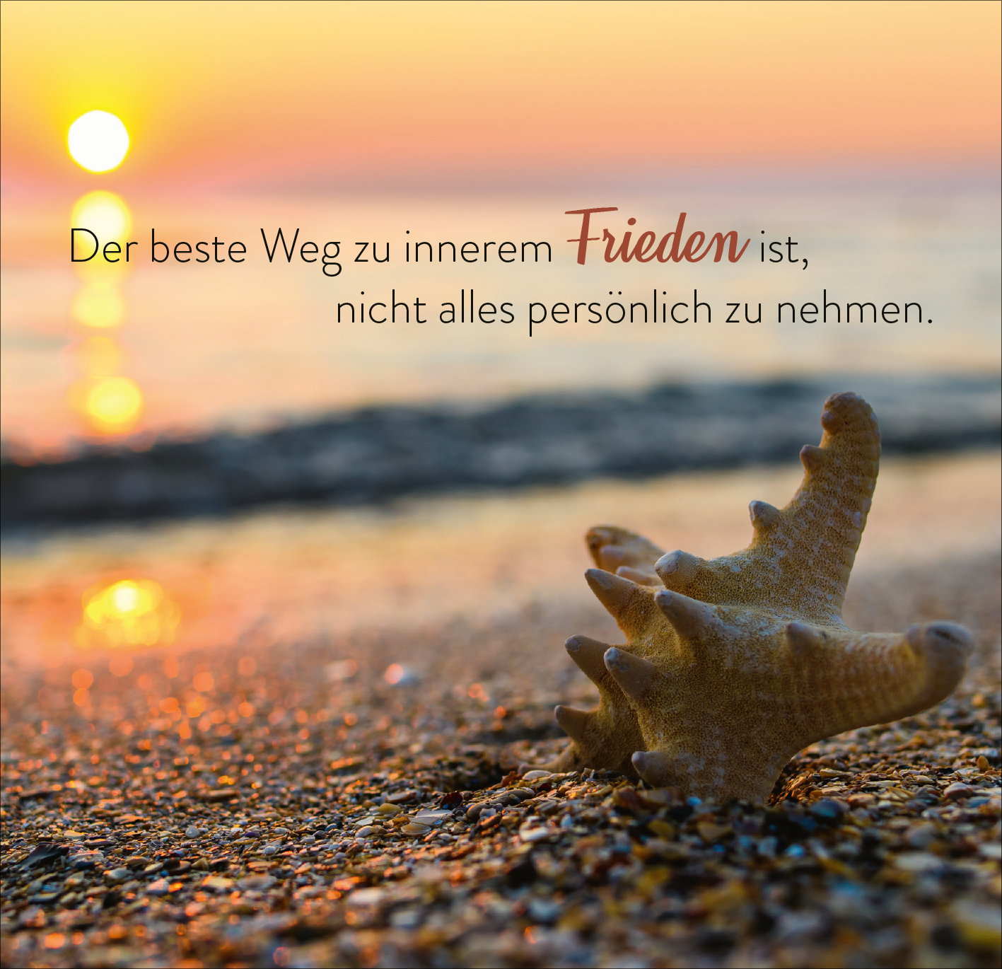 Gezeigt wird eine Innen- oder Zusatzansicht von „365 spirituelle Weisheiten aus aller Welt“. Im Vordergrund ist ein Sternenhorn zu sehen, das auf sandigem Untergrund liegt. Der Hintergrund zeigt einen schönen Sonnenuntergang am Meer, der warme Gelb- und Orangetöne ausstrahlt. Der Text in eleganter Schriftgröße hebt sich sanft vom Hintergrund ab und lautet: „Der beste Weg zu innerem Frieden ist, nicht alles persönlich zu nehmen.“ Der Schriftzug kombiniert verschiedene Schriftarten...