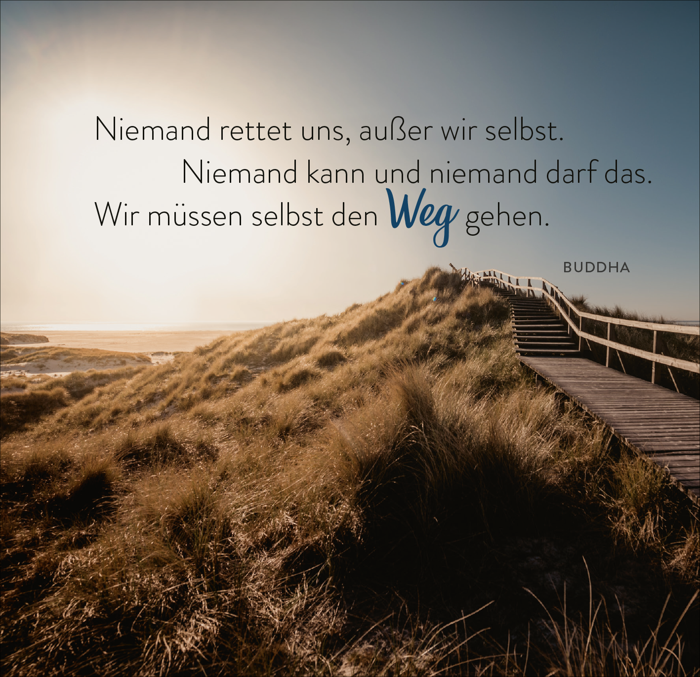 Gezeigt wird eine Innen- oder Zusatzansicht von „365 spirituelle Weisheiten aus aller Welt“. Die Darstellung zeigt einen breiten Holzsteg, der in eine natürliche Küstenlandschaft führt, umgeben von sanften, grünen Dünen. Über dem Bild steht ein Zitat in eleganter, schwarzer Schrift, das die Weisheit von Buddha formuliert. Der Begriff „Weg“ ist in einem markanten Blauton hervorgehoben. Die gesamte Komposition strahlt Ruhe und Inspiration aus.