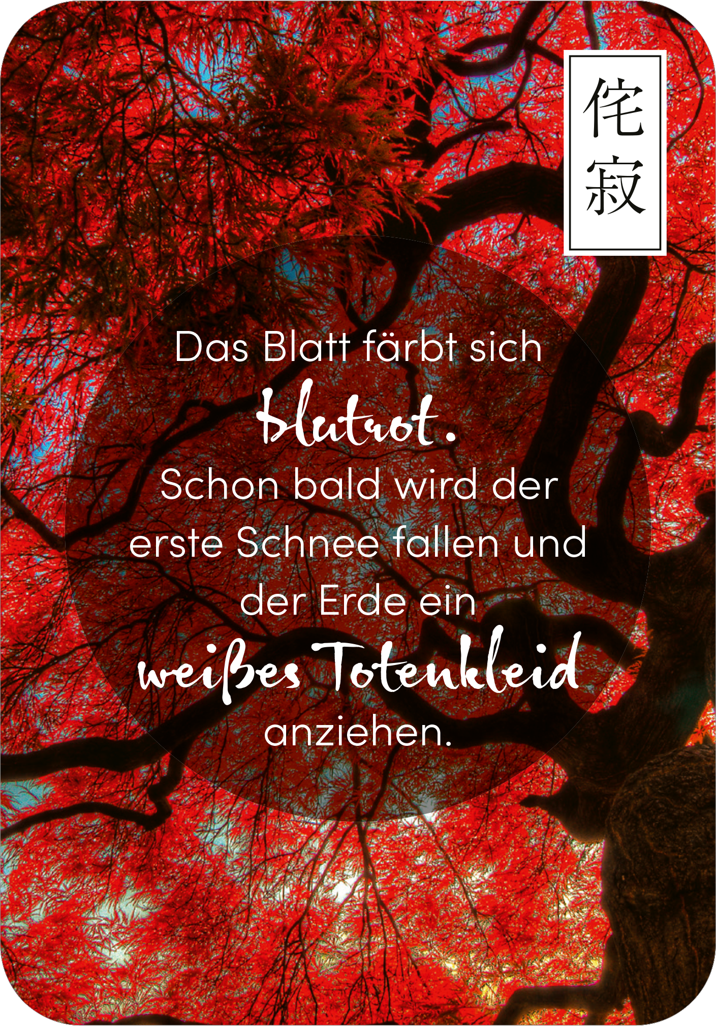 Gezeigt wird eine Innen- oder Zusatzansicht von „Wabi Sabi“. Der Hintergrund zeigt ausdrucksvolle, leuchtend rote Blätter eines Baumes, die an den Herbst erinnern. Im Vordergrund steht der Text in verschiedenen Schriftgrößen: „Das Blatt färbt sich blutrot“ in einer eleganten, geschwungenen Schrift und darunter in klarer, moderner Typografie „Schon bald wird der erste Schnee fallen und der Erde ein weißes Totenkleid anziehen.“ Neben dem Text ist ein minimalistisches Zeichen...