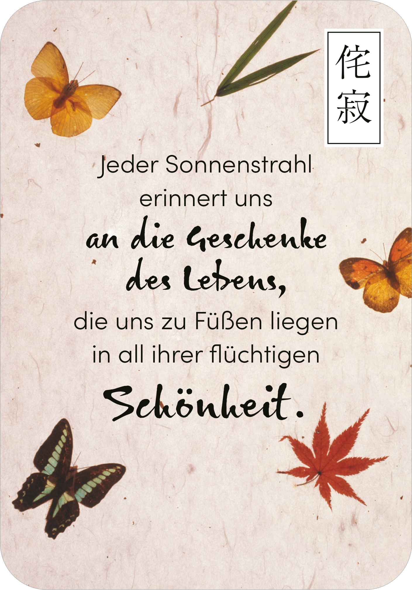 Gezeigt wird eine Innen- oder Zusatzansicht von „Wabi Sabi“. Der Hintergrund ist beige und leicht strukturiert, verziert mit stilisierten, bunten Schmetterlingen in Gelb und Schwarz sowie roten Ahornblättern. In der Mitte des Designs steht der Text in einer gut lesbaren, verspielten Schriftart, die eine sanfte, handgeschriebene Anmutung hat. Die zentrale Botschaft verlieht dem Bild eine nachdenkliche Stimmung und betont die Vergänglichkeit der Schönheit.