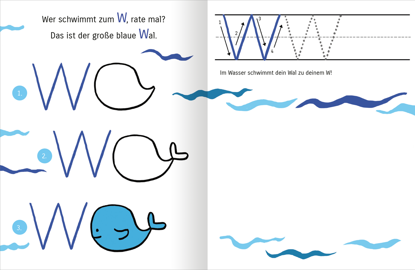 Gezeigt wird eine Innen- oder Zusatzansicht von „Mit Affe, Bär und Reh lerne ich das ABC“. Die linke Seite präsentiert drei einfache, blau umrandete Zeichnungen von Walen, umschlossen von wellenförmigen Blau-Elementen. Die begleitenden Texte sind in einer klaren, freundlichen Schriftart verfasst. Auf der rechten Seite wird der große Buchstabe „W“ stilisiert dargestellt, begleitet von Punkten zur Schreibübung. Der Hintergrund bleibt hell und unterstützt die Lesbarkeit der Inhalte.