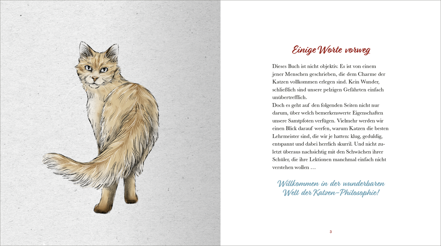 Gezeigt wird eine Innen- oder Zusatzansicht von „Kleine Katzenphilosophie“. Die Seite präsentiert eine stilisierte Zeichnung einer Katze mit flauschigem Fell in hellen Farben. Daneben befindet sich der Text „Einige Worte vorweg“ in einer auffälligen roten Schriftart. Der Hintergrund ist in sanften Tönen gehalten, wodurch die Illustration und die Typografie gut zur Geltung kommen. Die Gestaltung vermittelt eine einladende Atmosphäre und spiegelt die Philosophie der Katzen wider.
