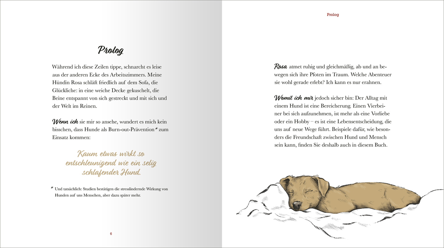 Gezeigt wird eine Innenansicht von „Kleine Hundephilosophie“. Auf der linken Seite befindet sich der Prolog in schwarzer Schrift auf weißem Hintergrund, umgeben von sanften Grautönen. Die Schriftart ist gut lesbar und freundlich. Rechts ist ein handgezeichnetes Bild eines Hundes zu sehen, der in einer Decke liegt, in warmen Erdtönen gehalten. Verzierende Elemente und eine einladende Typografie verleihen dem Gesamteindruck eine harmonische und persönliche Note.