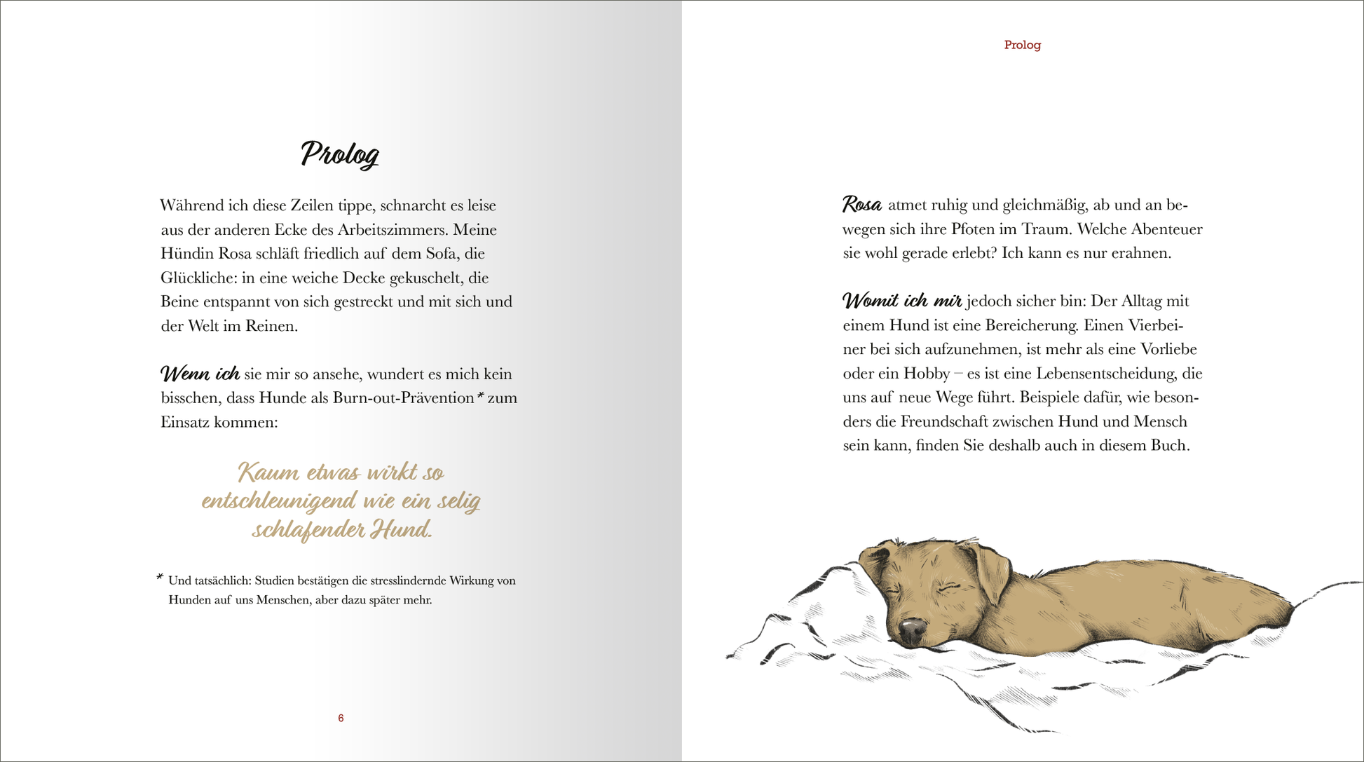 Gezeigt wird eine Innenansicht von „Kleine Hundephilosophie“. Auf der linken Seite befindet sich der Prolog in schwarzer Schrift auf weißem Hintergrund, umgeben von sanften Grautönen. Die Schriftart ist gut lesbar und freundlich. Rechts ist ein handgezeichnetes Bild eines Hundes zu sehen, der in einer Decke liegt, in warmen Erdtönen gehalten. Verzierende Elemente und eine einladende Typografie verleihen dem Gesamteindruck eine harmonische und persönliche Note.