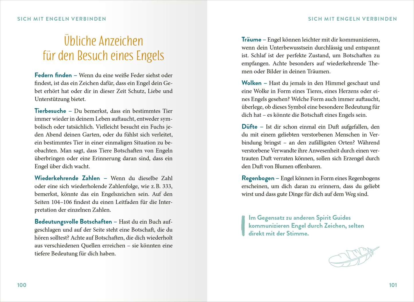 Gezeigt wird eine Innen- oder Zusatzansicht von „Engel“. Die Seiten sind in sanften Pastelltönen gehalten, vorwiegend in mintgrün und creme. Die Schrift ist klar und modern, in gut lesbarer Typografie, wobei Überschriften hervorgehoben sind. Textabschnitte sind durch deutliche Einteilungen strukturiert. Grafische Elemente wie zarte Linien und kleine Illustrationen unterstützen die Inhalte visuell, während informative Absätze in einfacher Sprache die Leser ansprechen.