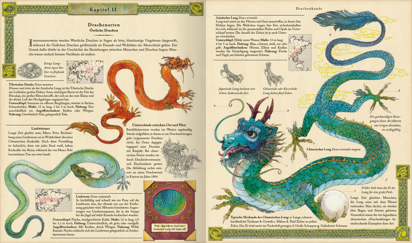 Gezeigt wird eine Innen- oder Zusatzansicht von „Expedition in die geheime Welt der Drachen“. Die Doppelseite zeigt verschiedene Drachenarten in lebendigen Farben, darunter Rot-, Blau- und Grüntöne. Auf der linken Seite sind detaillierte Illustrationen von Drachen mit erklärenden Texten in klarer, gut lesbarer Schrift. Der Hintergrund ist in sanften Beigetönen gehalten, während die Kapitelüberschrift in einer verschnörkelten Schriftart prominent über dem Inhalt steht. Illustrative...