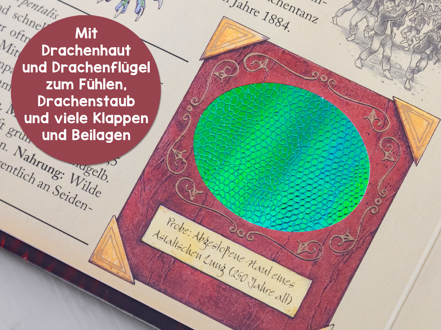 Gezeigt wird eine Innen- oder Zusatzansicht von „Expedition in die geheime Welt der Drachen“. Der Seitenverbund präsentiert ein rundes Feld mit schimmerndem, grünem Drachenhaut-Muster, eingerahmt von einem rot-braunen, kunstvoll verzierten Rand. In der oberen Ecke sind zwei goldene dreieckige Elemente angebracht. Eine beigefügte Beschreibung informiert über ein Drachenexemplar aus der asiatischen Mythologie. Der Text ist in einer kräftigen, leserlichen Schrift gehalten.