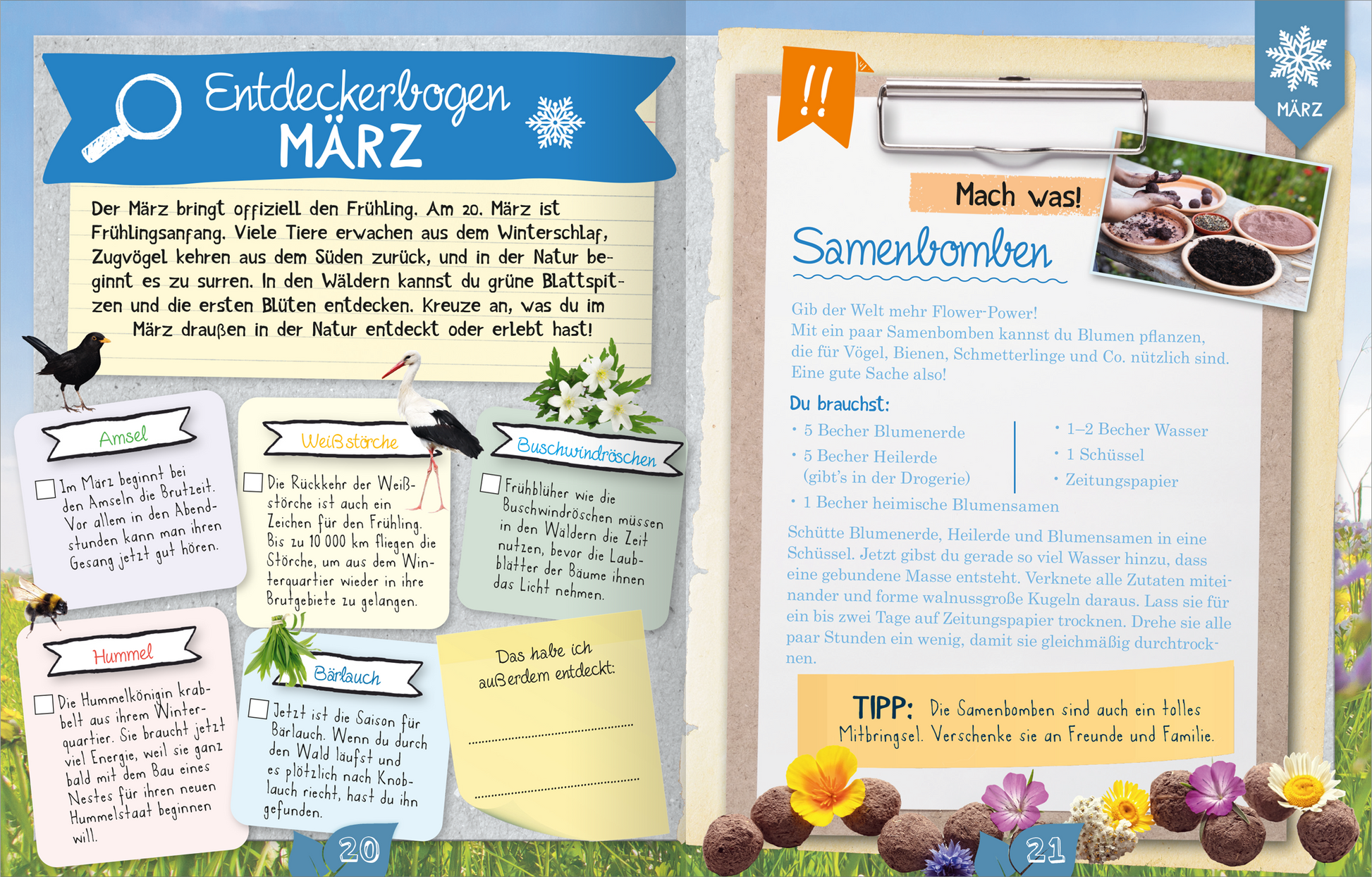 Gezeigt wird eine Innen- oder Zusatzansicht von „Naturforscher-Kids – Durch das Jahr“. Die Seite ist bunt gestaltet und vermittelt Frühlingsstimmung mit hellen Farben wie Grün, Blau und Gelb. Links befindet sich der „Entdeckerbogen März“ mit handschriftlicher Schriftart und Illustrationen von Tieren sowie Pflanzen. Rechts ist ein Abschnitt mit Anleitungen zum Thema „Samenbomben“ und einer Checkliste, um Materialien aufzulisten. Die typografische Variation betont wichtige...