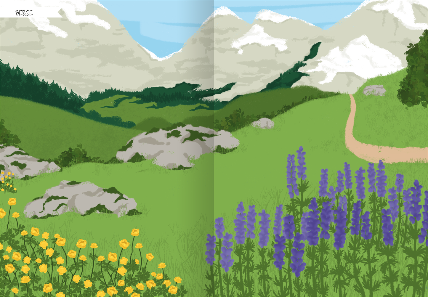 Gezeigt wird eine Innen- oder Zusatzansicht von „Naturforscher-Kids – Stickerheft Heimische Tierwelt“. Die Illustration zeigt eine farbenfrohe Landschaft mit grünen Wiesen und lila und gelben Blumen im Vordergrund. Im Hintergrund erheben sich majestätische Berge mit schneebedeckten Gipfeln. Ein geschwungener Weg führt durch die Wiese und lädt zur Erkundung ein. Die sanften Farben und die klare, freundliche Typografie tragen zur einladenden Stimmung bei.