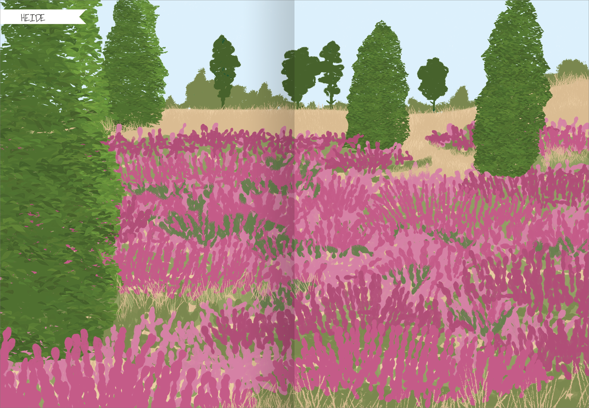 Gezeigt wird eine Innen- oder Zusatzansicht von „Naturforscher-Kids – Stickerheft Heimische Tierwelt“. Die Illustration zeigt eine weite Heidelandschaft mit leuchtend pinken Blüten und grünen Sträuchern, unter einem hellblauen Himmel. Im Hintergrund sind stilisierte, dunkelgrüne Bäume und Sträucher zu sehen. Die Farben sind lebhaft und harmonisch aufeinander abgestimmt. Die Überschrift „HEIDE“ ist in einer klaren, gut lesbaren Schriftart gestaltet, die den kindlichen Charakter...