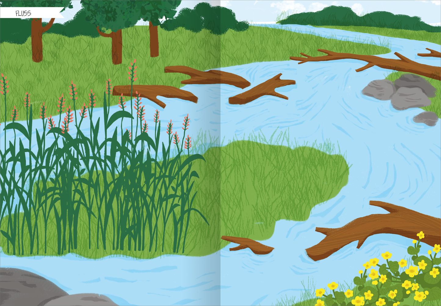 Gezeigt wird eine Innen- oder Zusatzansicht von „Naturforscher-Kids – Stickerheft Heimische Tierwelt“. Die Illustration zeigt eine lebendige Flusslandschaft mit klaren blauen Wassern, umgeben von üppigem grünem Gras und einer dichten Vegetation. Mehrere Baumstämme liegen im Wasser und entlang des Ufers. Gelbe Blumen blühen am Rand, während im Hintergrund Bäume und ein heller Himmel sichtbar sind. Die Verwendung von kräftigen Farben und klaren Formen schafft eine einladende,...